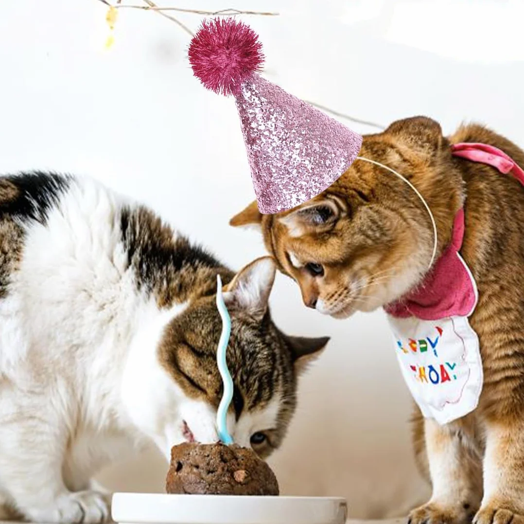 2 Pièces Chapeau D'Anniversaire De Chat, Chapeaux De Fête De Chien Chapeaux De Chats Multicolores Mignon Chiot Chapeau De Fête Avec Pompons Réglable Chapeaux D'Anniversaire De Chien Chapeaux D