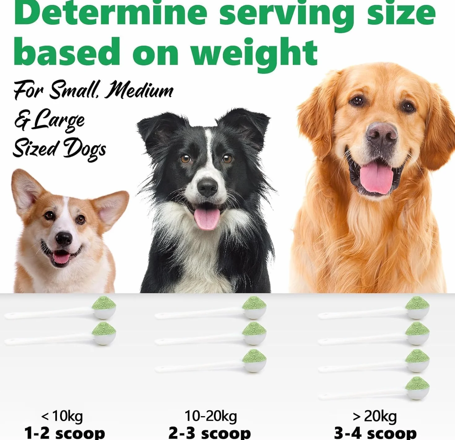 Poudre dentaire pour chiens et chats 300g nettoyage dents dissolvant plaque tartre