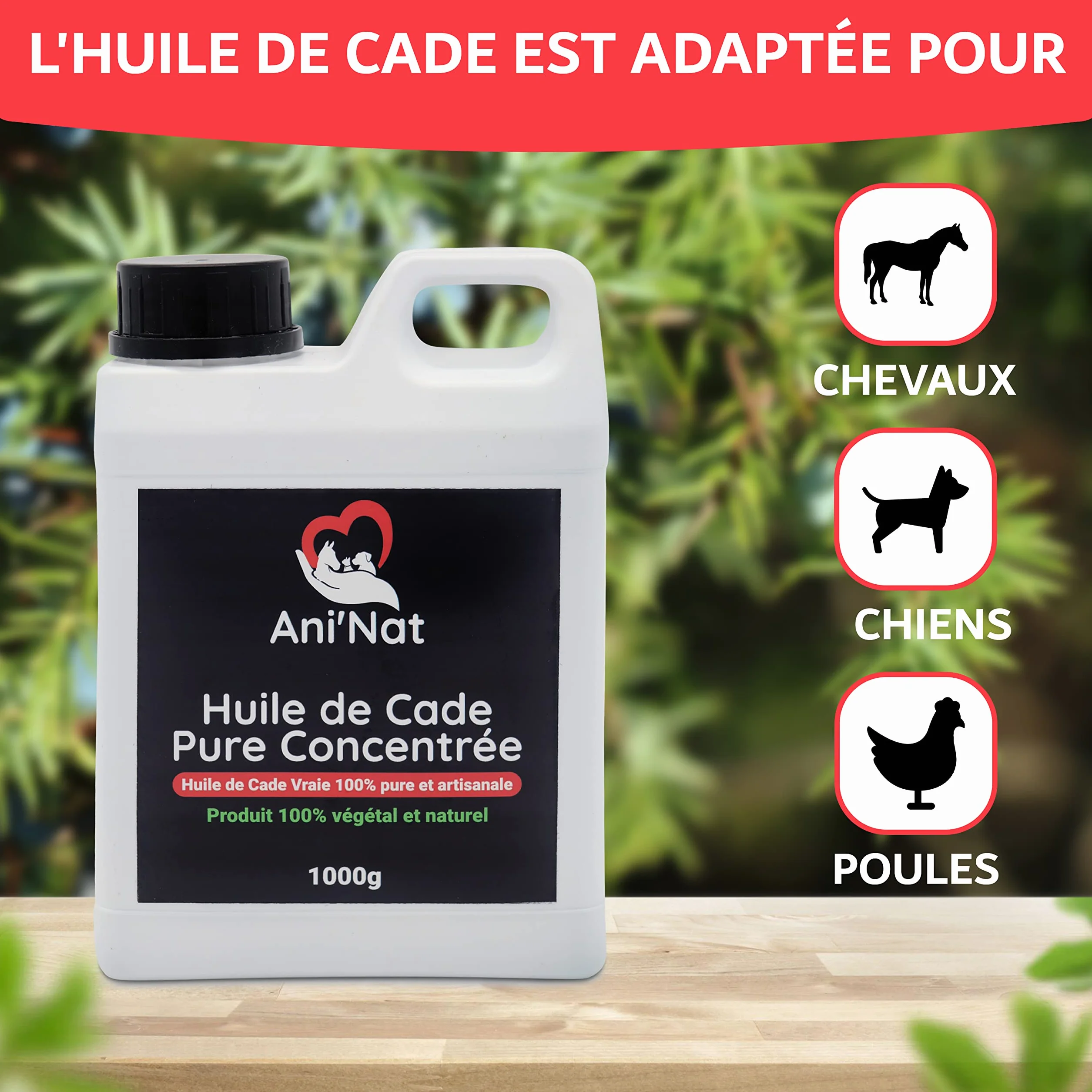 AniNat Huile de Cade Pure Concentrée 100% Naturelle - Soin des Pattes des Poules, Sabots Chevaux - Bidon 1000g