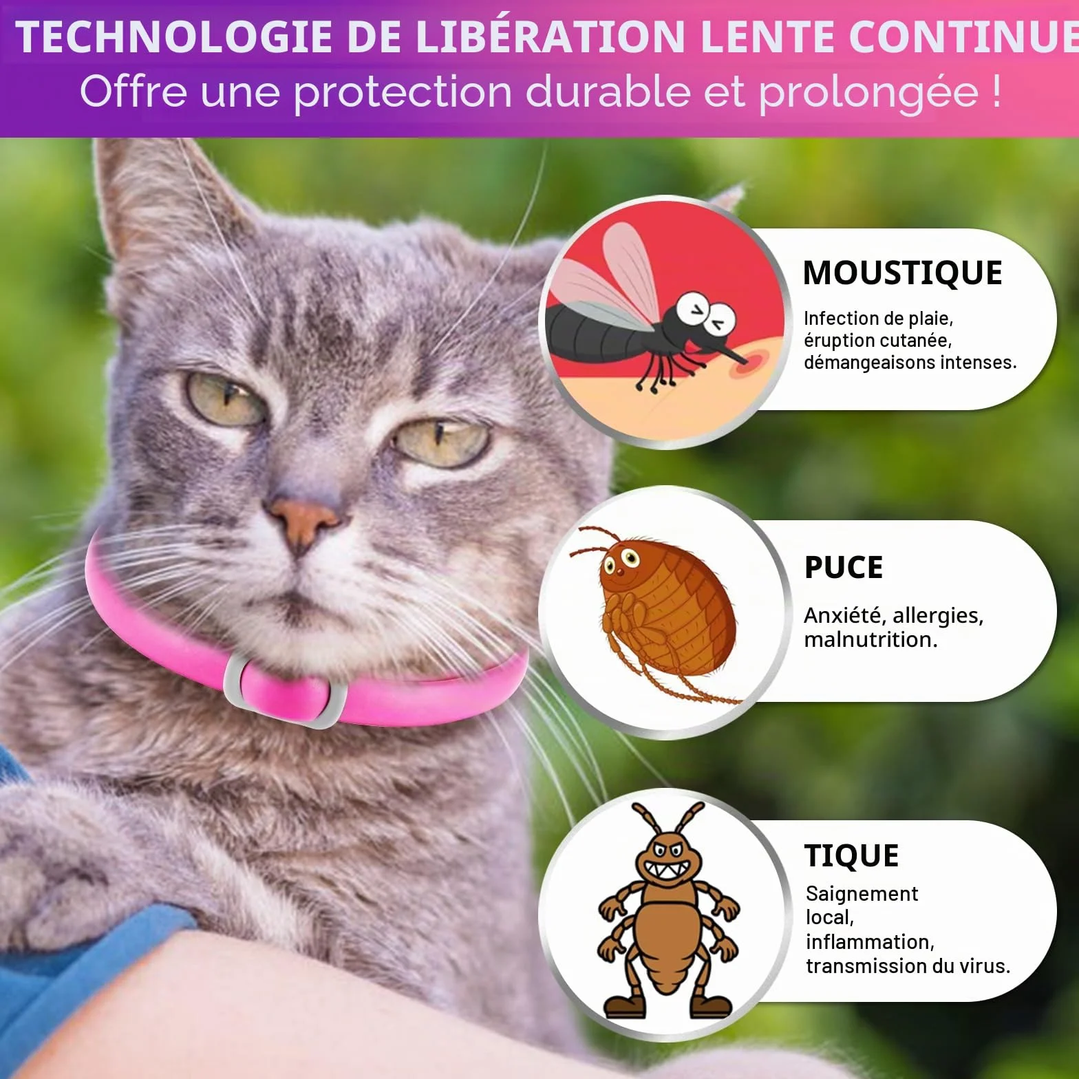 Collier Anti-Puces Chat 4 Pièces Résistant À L'Eau Réglable Protection 24 Mois
