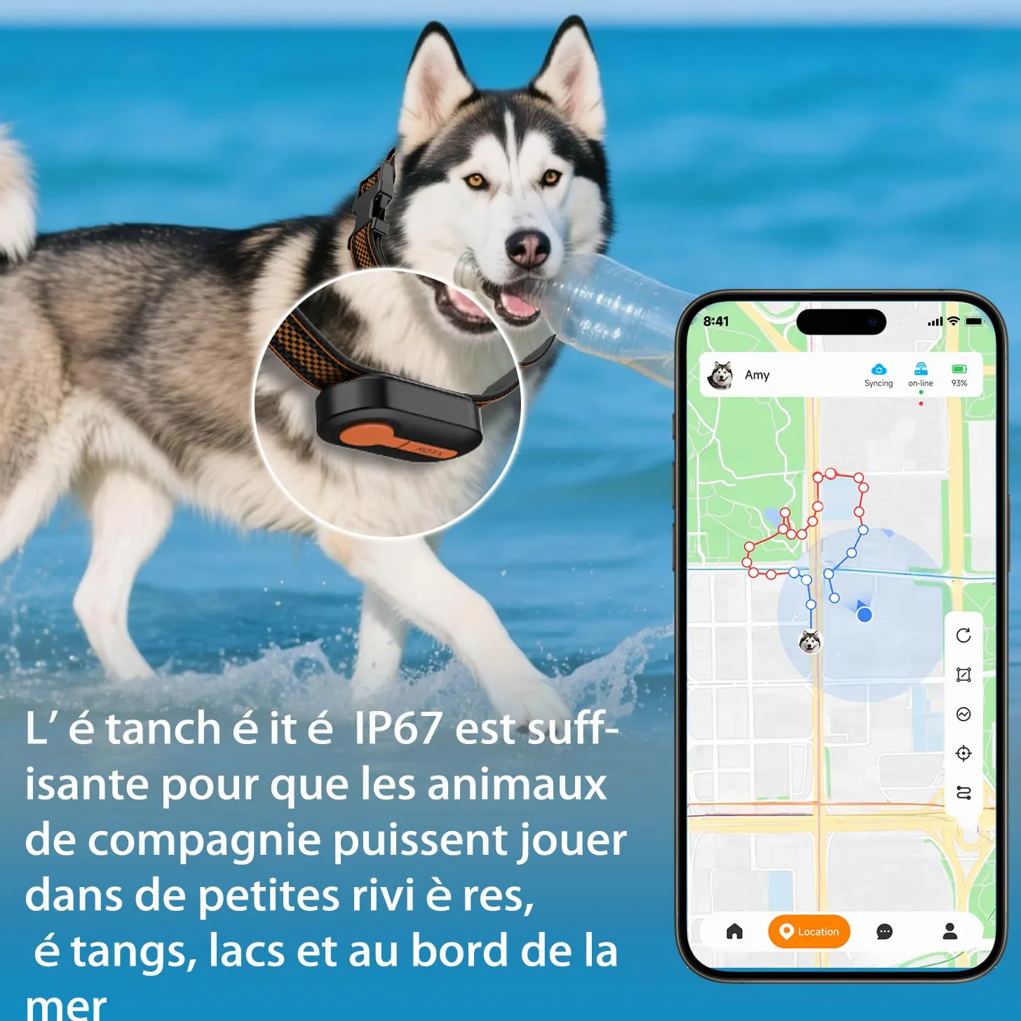 ROTX Dog GPS Tracker alertes Tracker en Temps réel Emplacement virtuel de la barrière pour Animal de Compagnie de Plus de 11.06lbs Chien Chat Collier aléatoire abonnement requis étanche IP67 Noir