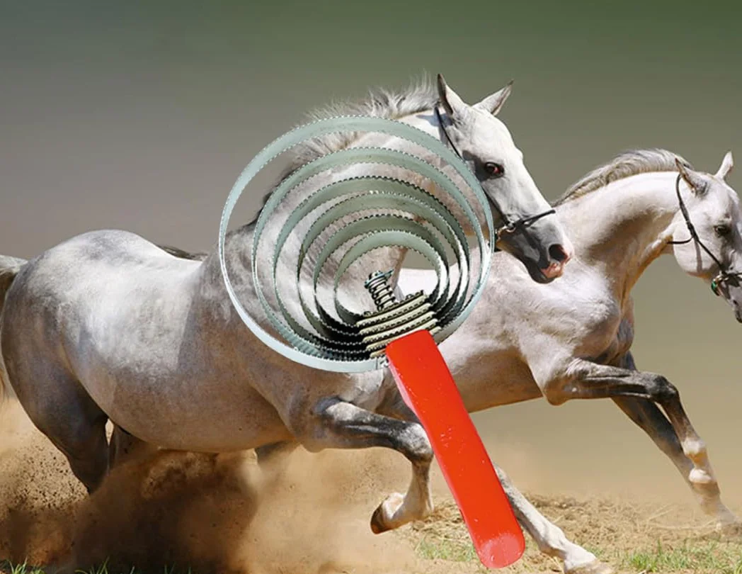 Brosse pour cheval 6 anneaux étrille en métal nettoyer saleté grossière changement pelage