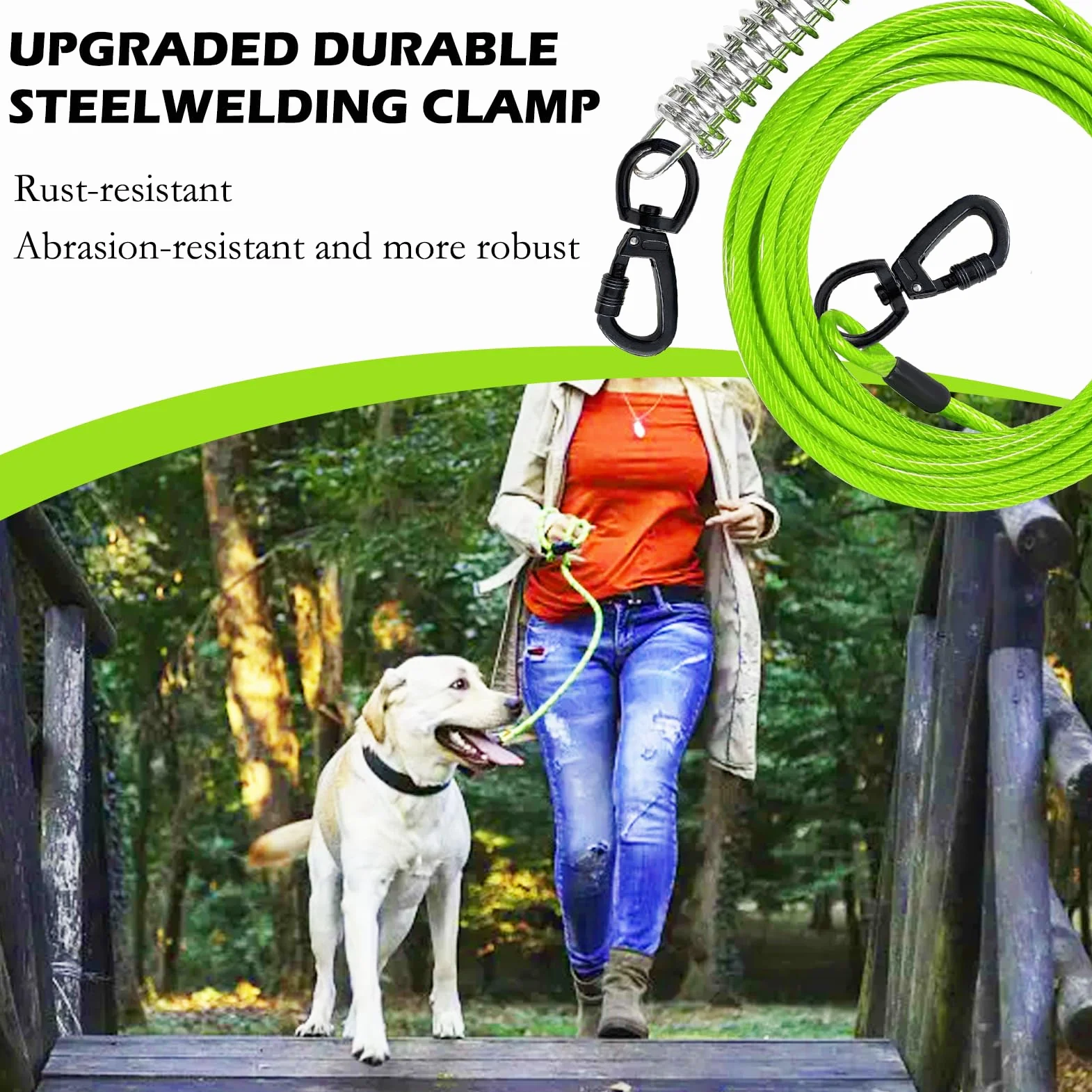 3m Câble d'attache pour Chien 4mm pour Cour et Camping en Plein air