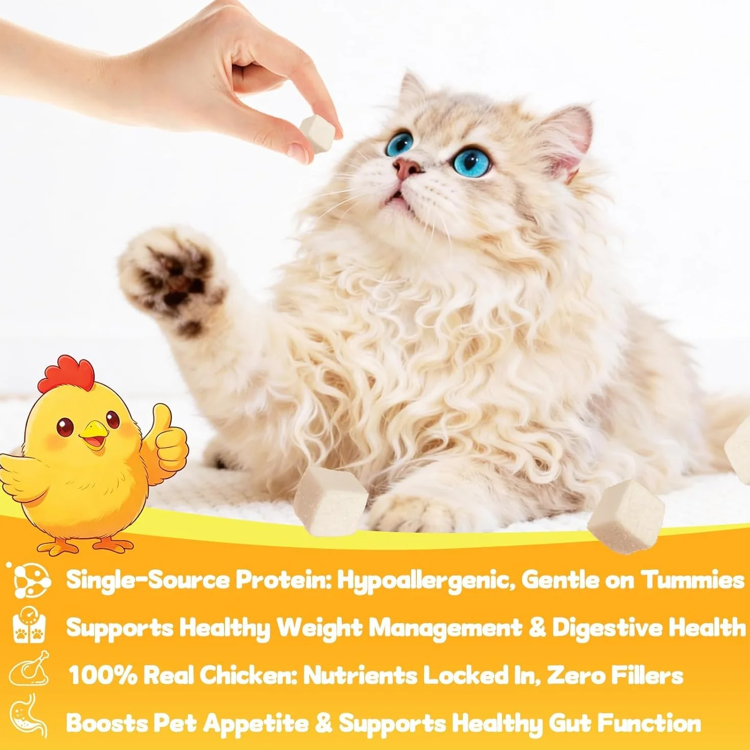 Friandises de poulet lyophilisé pour chats et chiens, riches en protéines, faibles en gras, snack FreezeDried