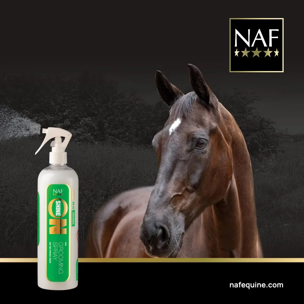 NAF Shine on