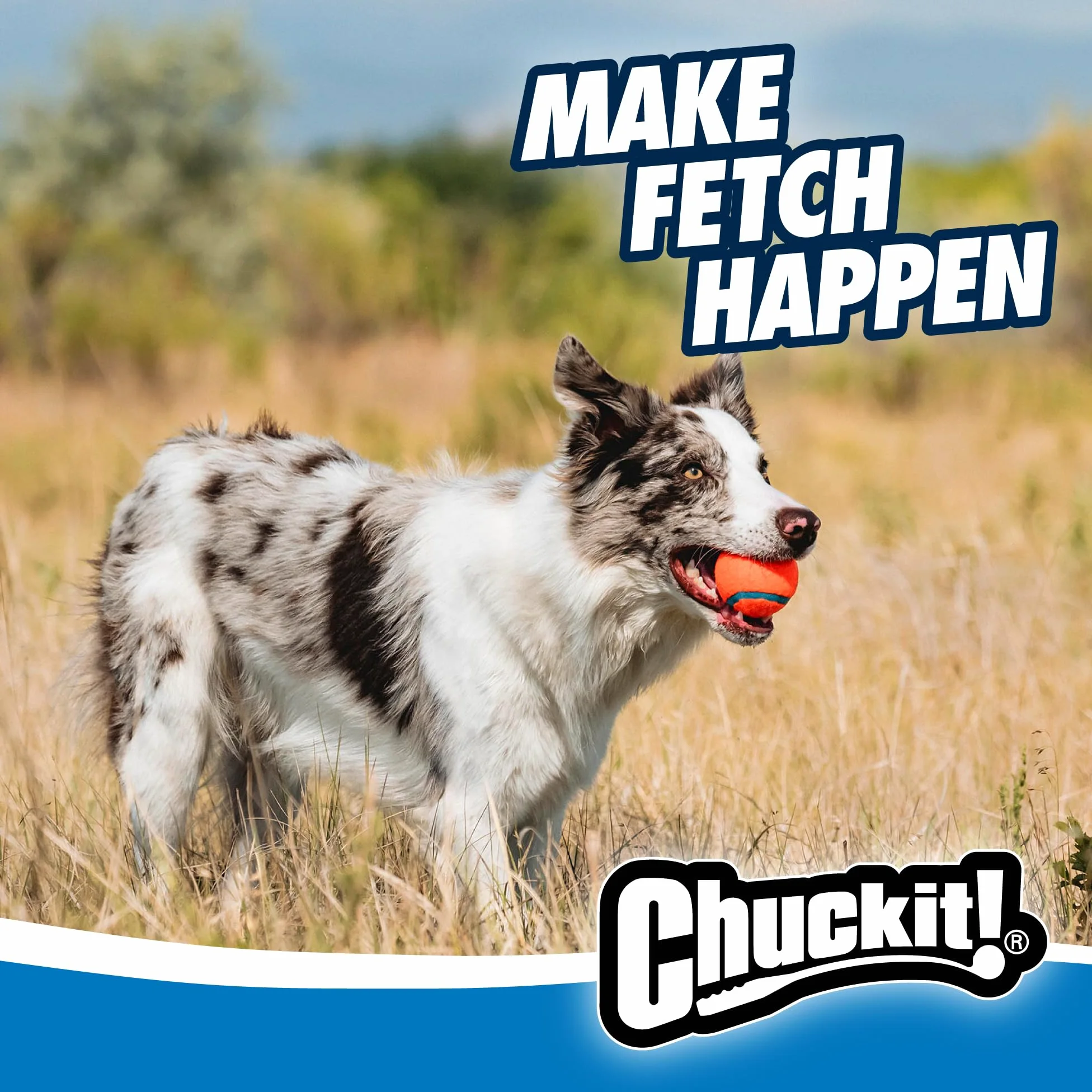 Chuckit! Ultra Ball & Launcher – Classic 66 cm avec 2 balles rebondissantes Moyennes (6,3 cm) pour Chiens de 9 à 27,2 kg, Accessoire Jouet Extérieur Jeux pour Chien, Lanceur de Balles