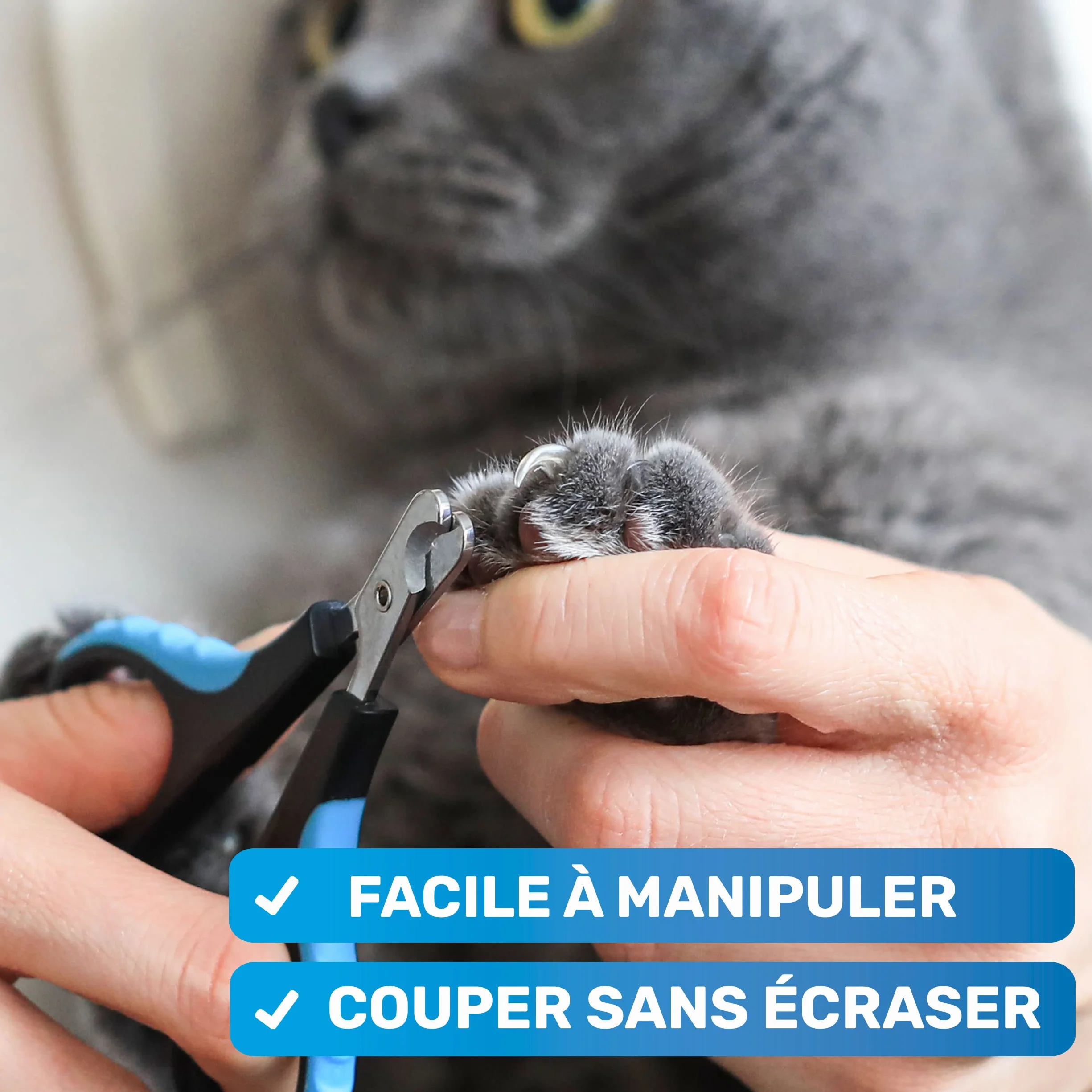 BluePet Coupe Griffes Chat et Chien & Lapin, Coupe-Ongle Mini Pour Rongeur, Pince Griffe Chats & Chiens Petits
