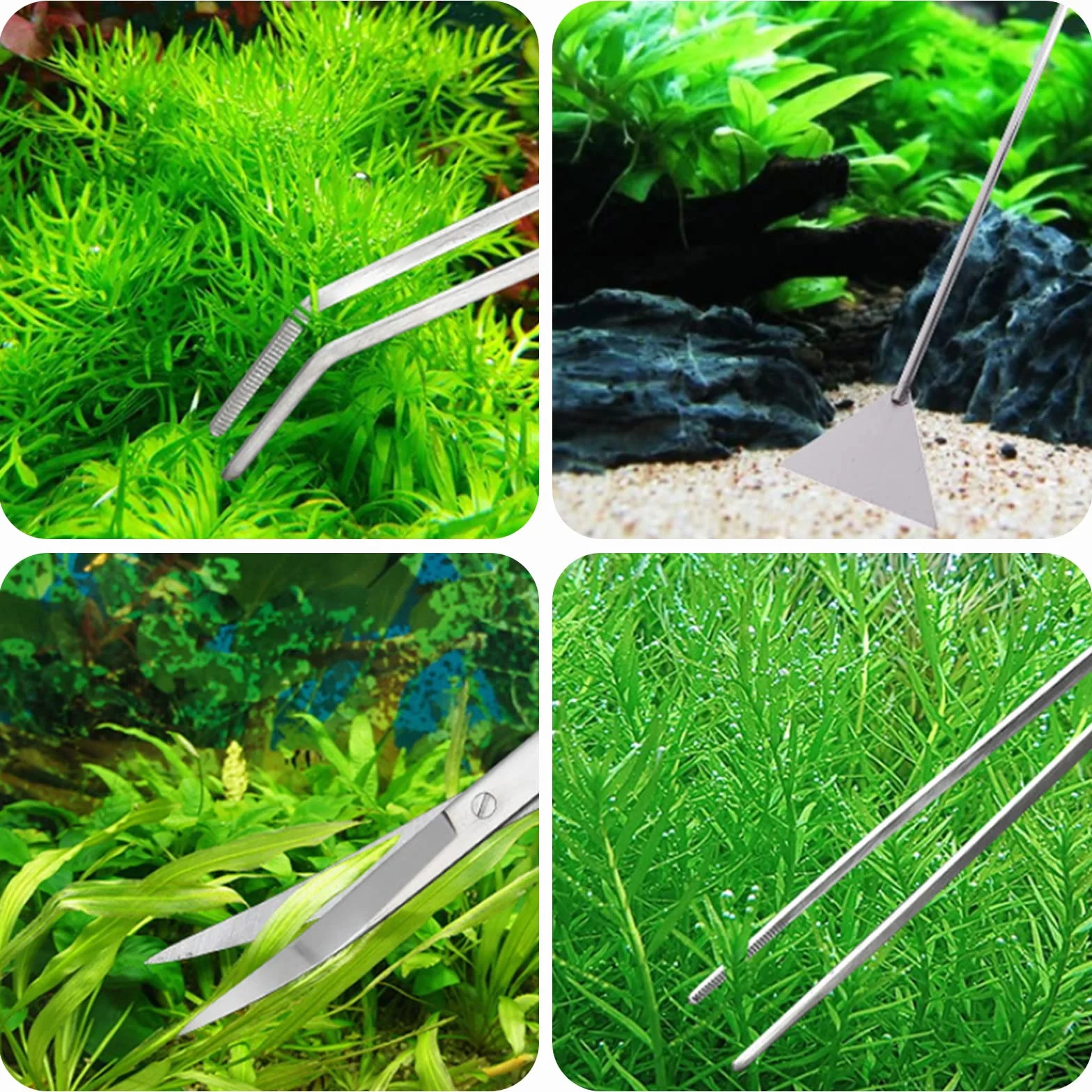 Kit d'aquascaping 4 en 1 en acier inoxydable - Ciseaux d'aquarium et pince à épiler longue avec sac de rangement