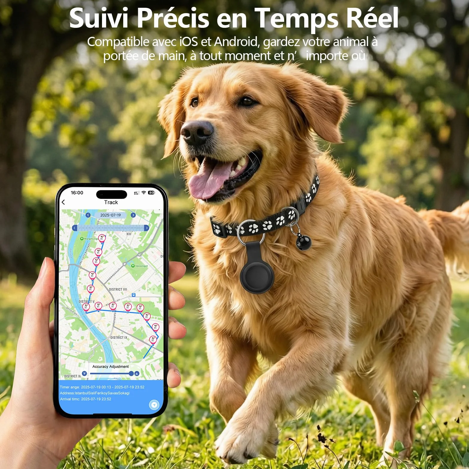 Collier GPS Chat Chien sans Abonnement IPX6 Traceur Localisation Temps Réel Compatible iOS Android Noir