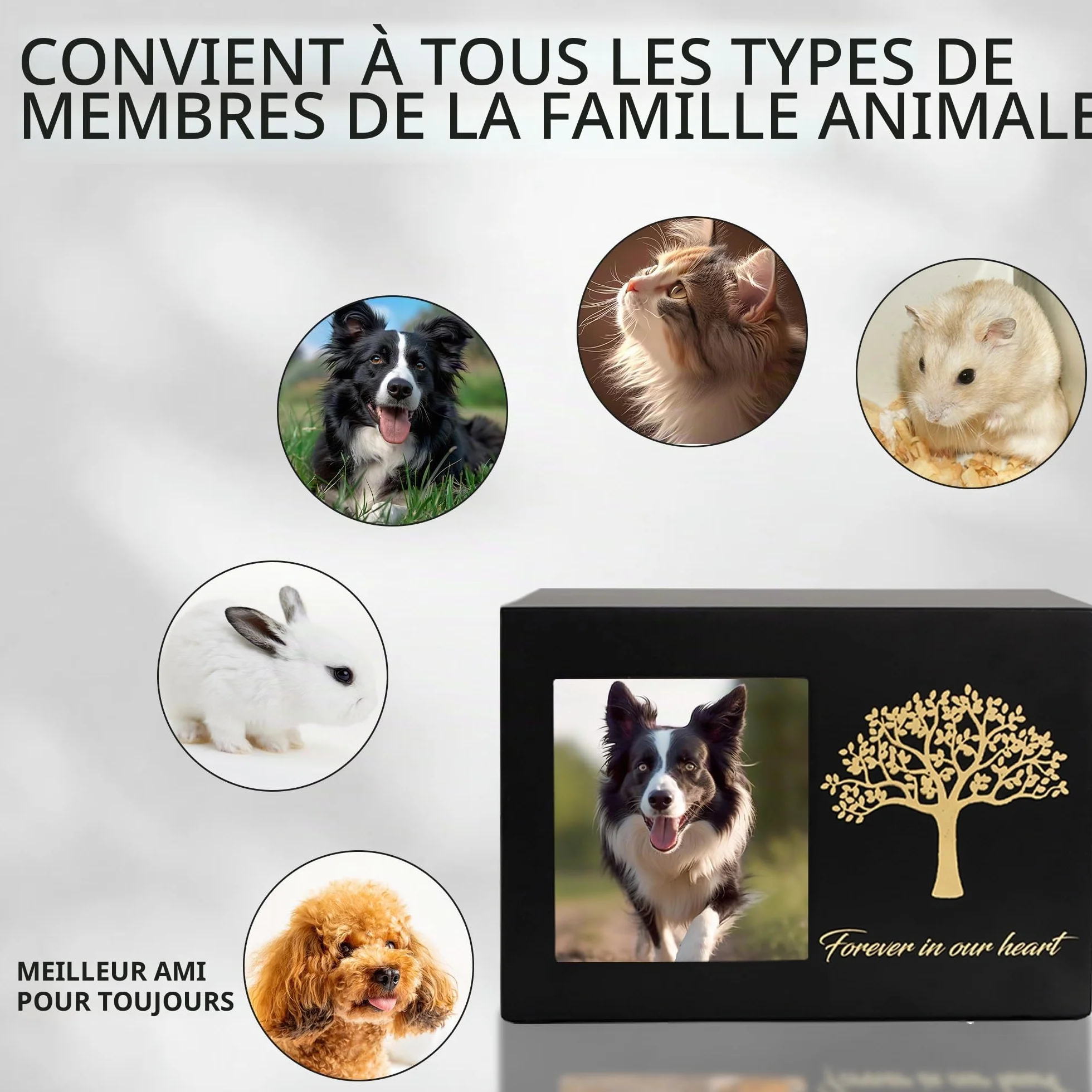 Urne funéraire pour Animaux Chat Cadre Photo Personnalisé Arbre de Vie Cendres Chat Chien Souvenirs Commémoratifs Taille L