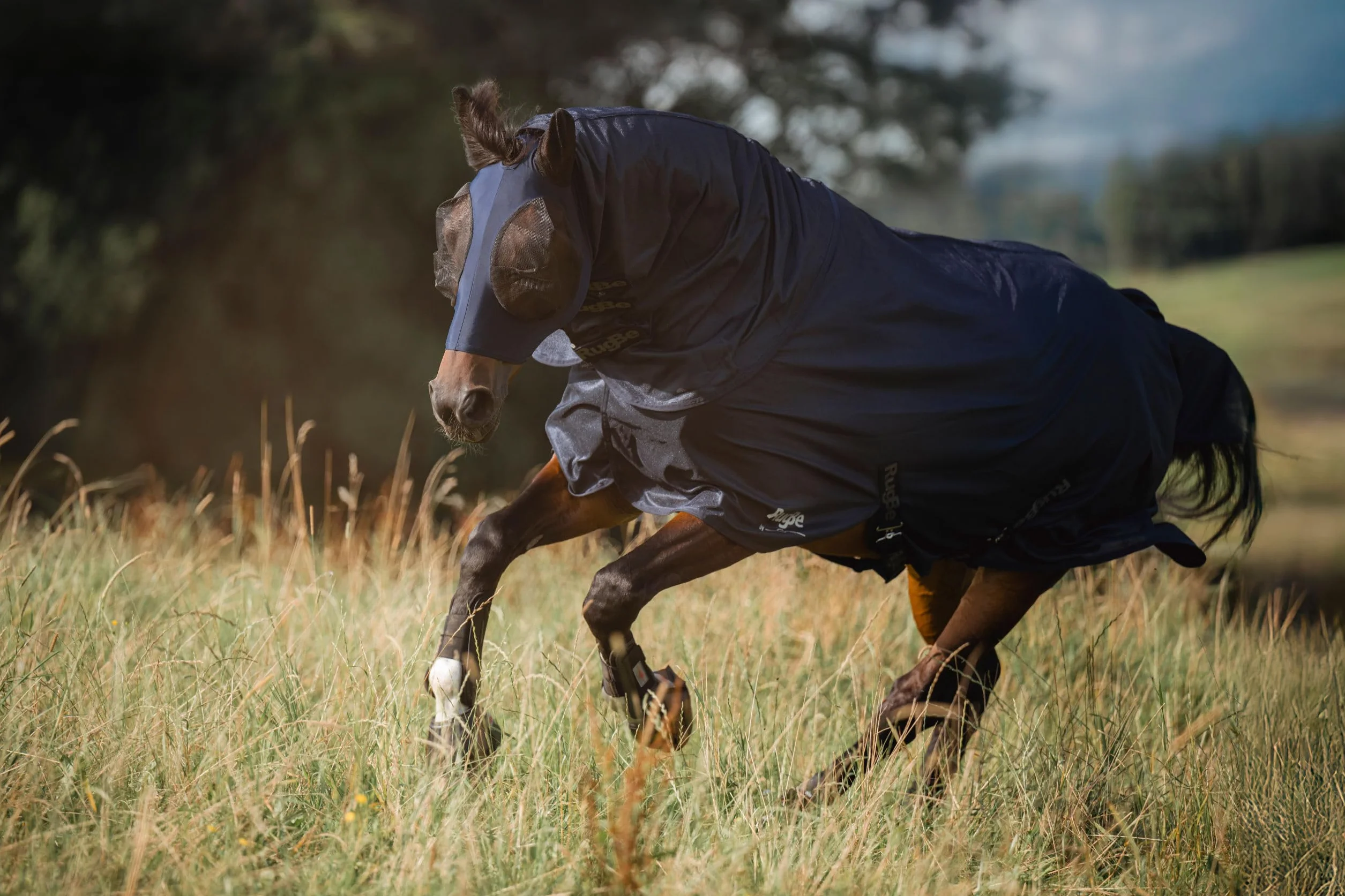 Covalliero Couverture Anti-Mouches RugBe Superfly 155 cm 205 cm Cheval