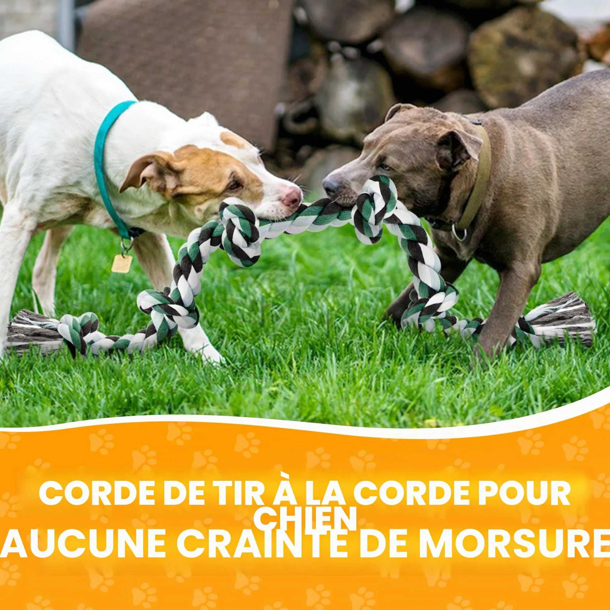 Corde de Jouet Chien Durable 100cm Grand 6-Nœuds 100% Coton Jouet à Mâcher pour Nettoyage des Dents