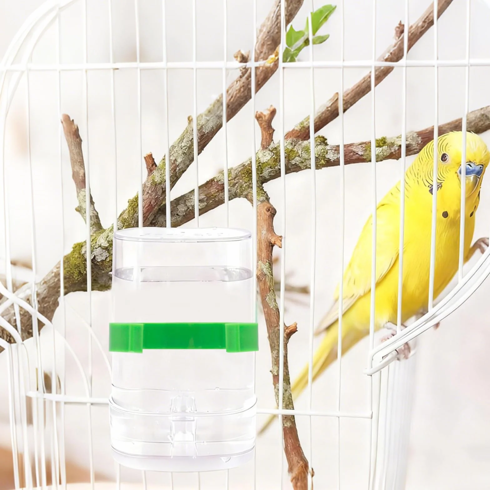 Distributeur Automatique d'eau pour Oiseaux 4 Pièces Transparent Mangeoire Oiseaux Cage