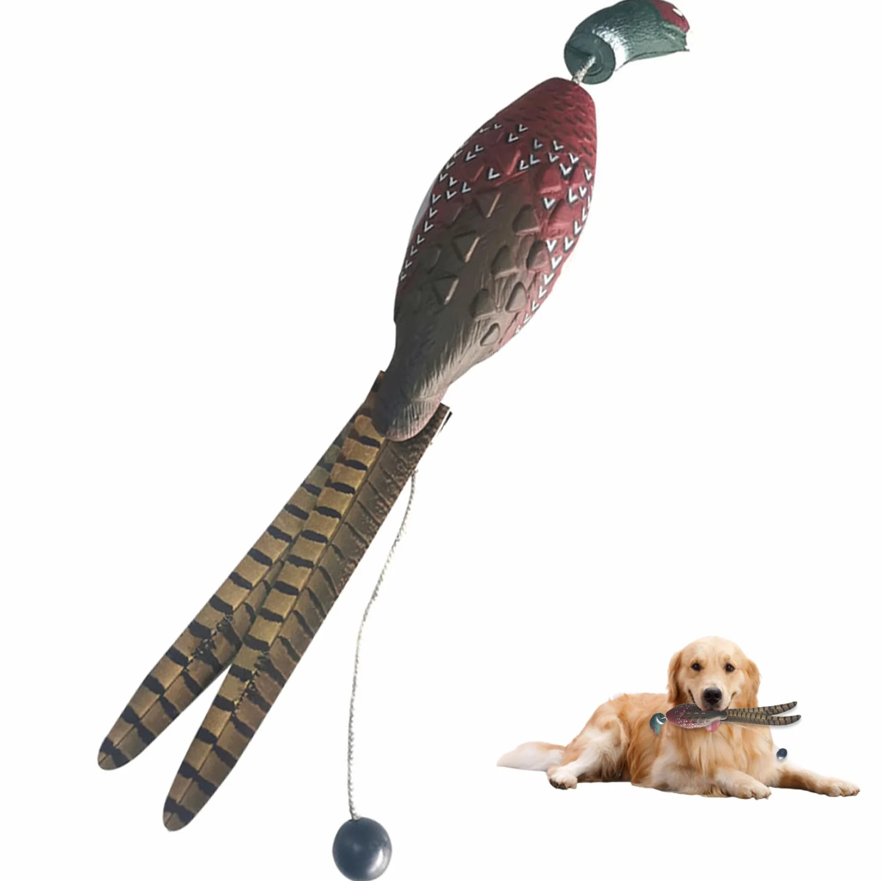 Pare-Chocs pour Chien EVA, Jouet d'entraînement de Faisan imperméable et réaliste avec Bascule de Lancer