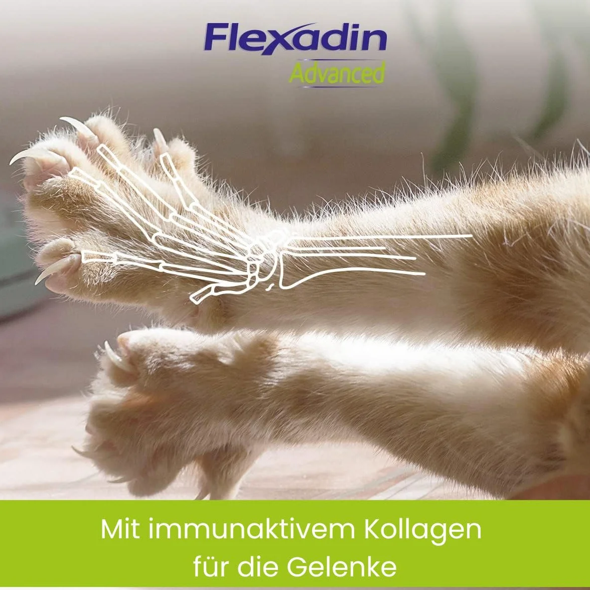 FLEXADIN ADVANCED® Chat 60 friandises articulaires Collagène non dénaturé type II