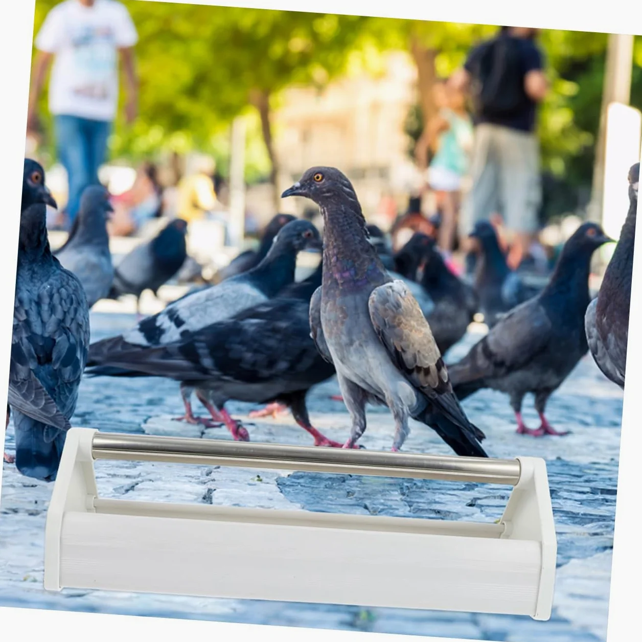 Homoyoyo Mangeoire pour Pigeons et Perruches en Plastique Résistant 40 Cm Lot de 2 pour Alimentation Intérieure et Extérieure Jardin Parc Oiseaux