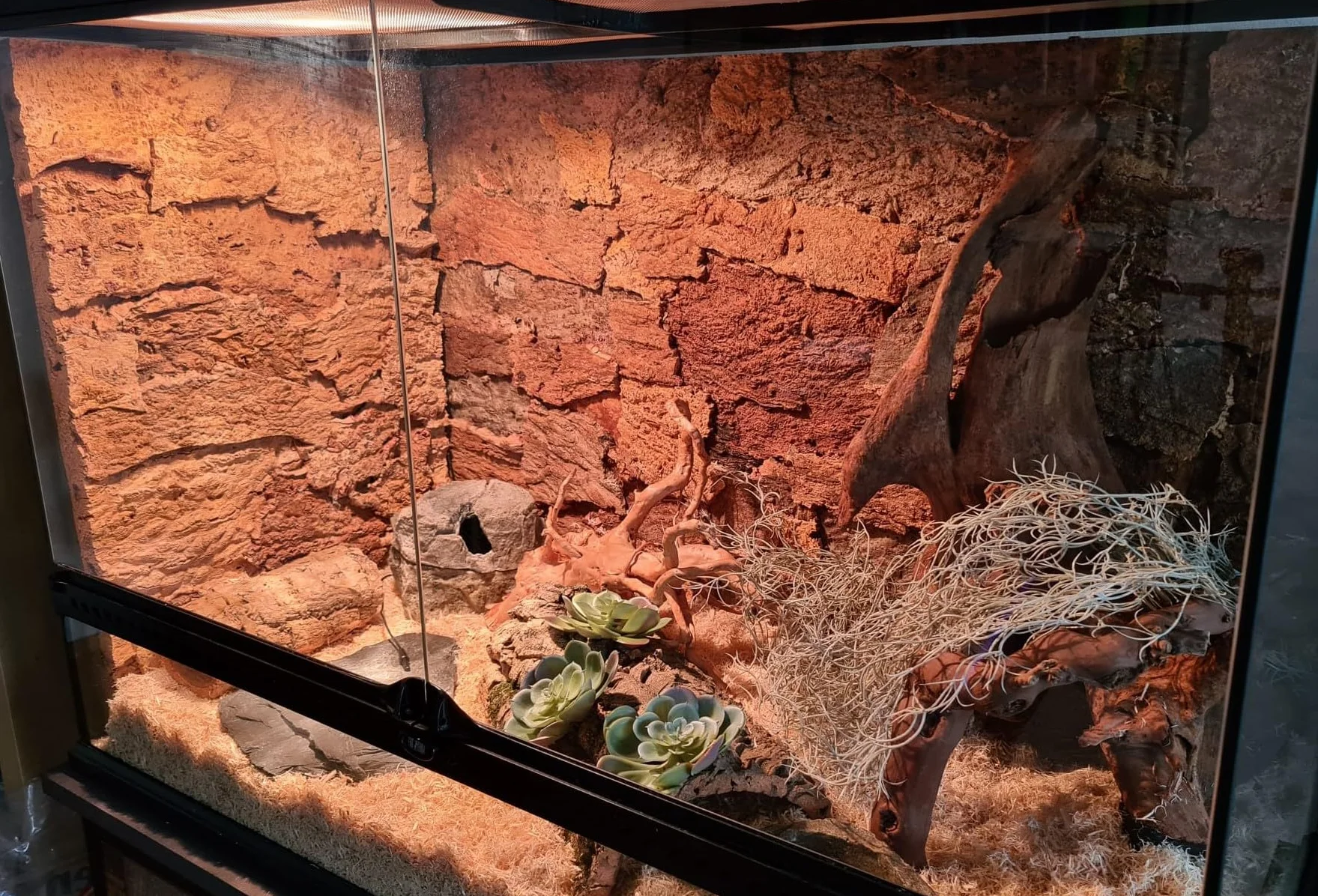 Paroi arrière XL pour terrarium Desert 3D écorce de liège naturel 90 x 60 cm