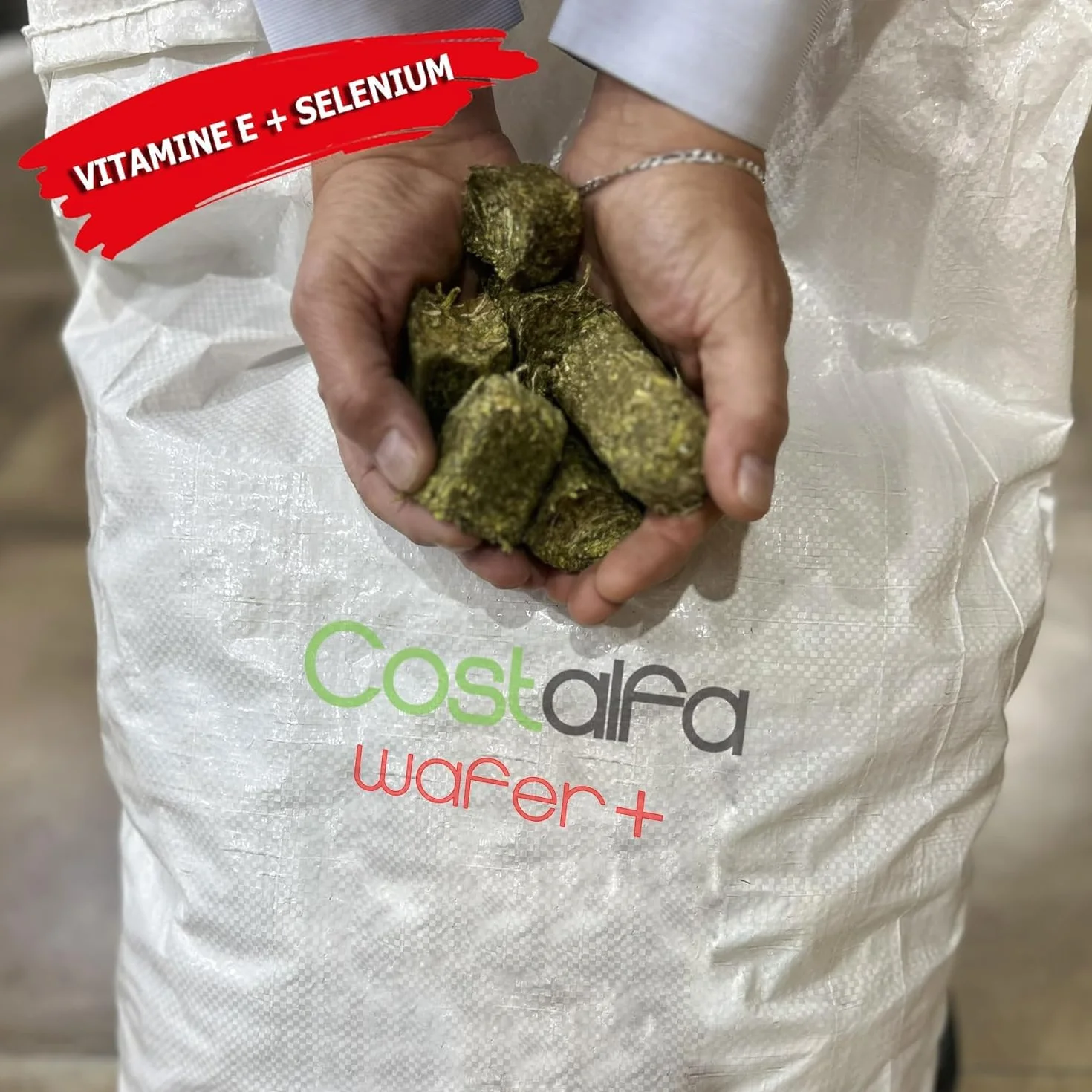 Wafer 20kg Alimentation Chevaux 100% Luzerne Naturelle Nourriture Haut-de-Gamme pour Cheval