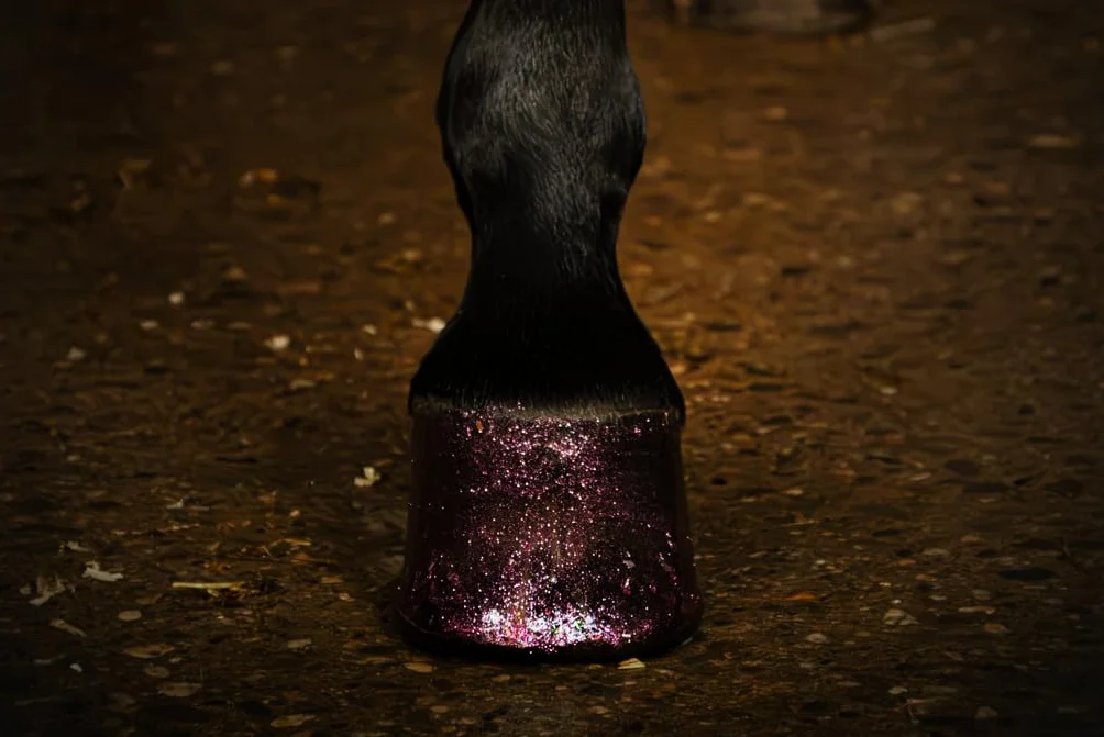 Holland Animal Care Hi Gloss Glitter Hoof Polish 150 ml Rose - Paillettes pour sabots et pelages - Soin des sabots Hydratant