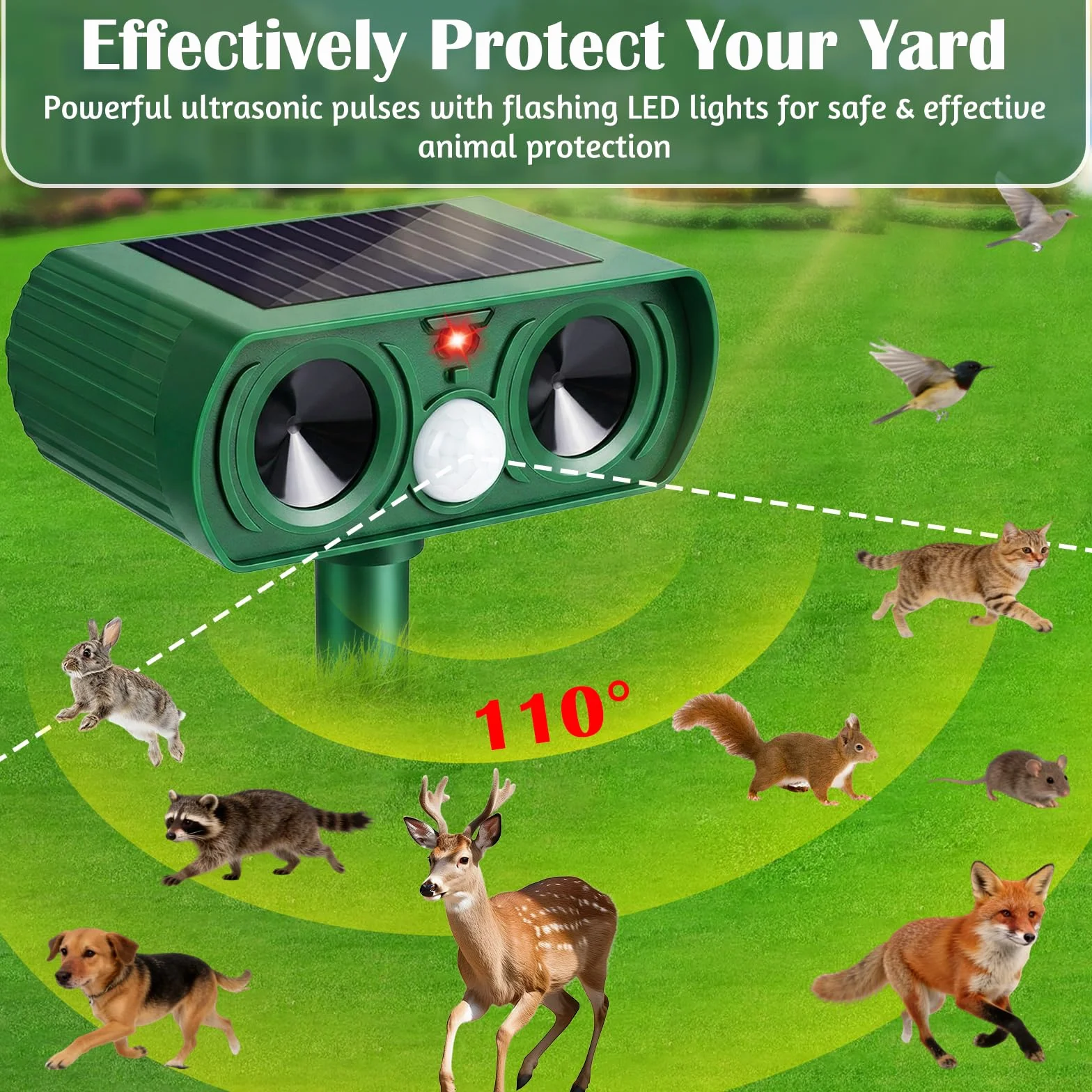 Répulsif Chat Ultrason Solaire Imperméable avec Détecteur et Flash pour Chats Chiens Renards Martres
