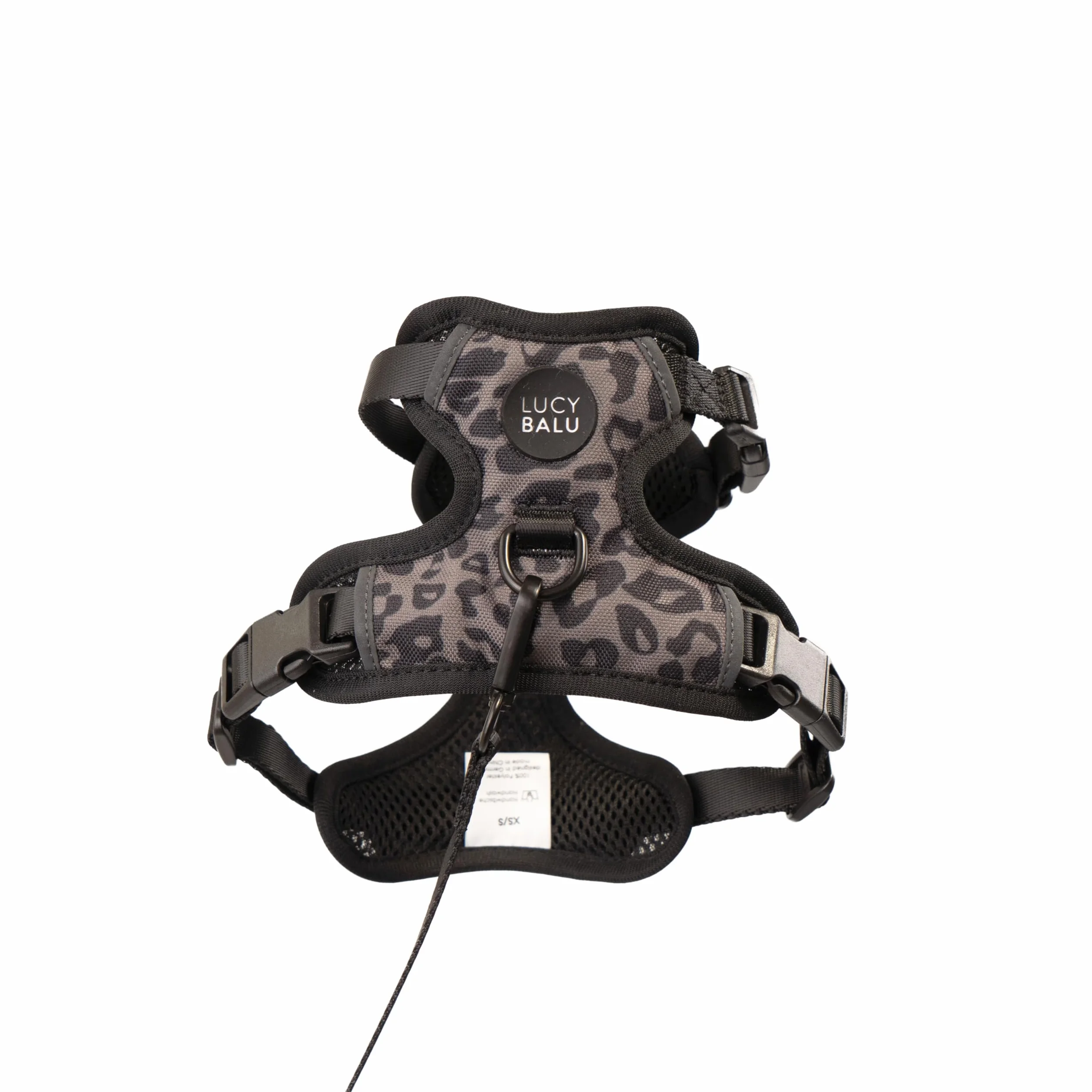 LucyBalu® Explorer Harnais Anti-Fugue Chat Laisse AirTag Léopard M/L