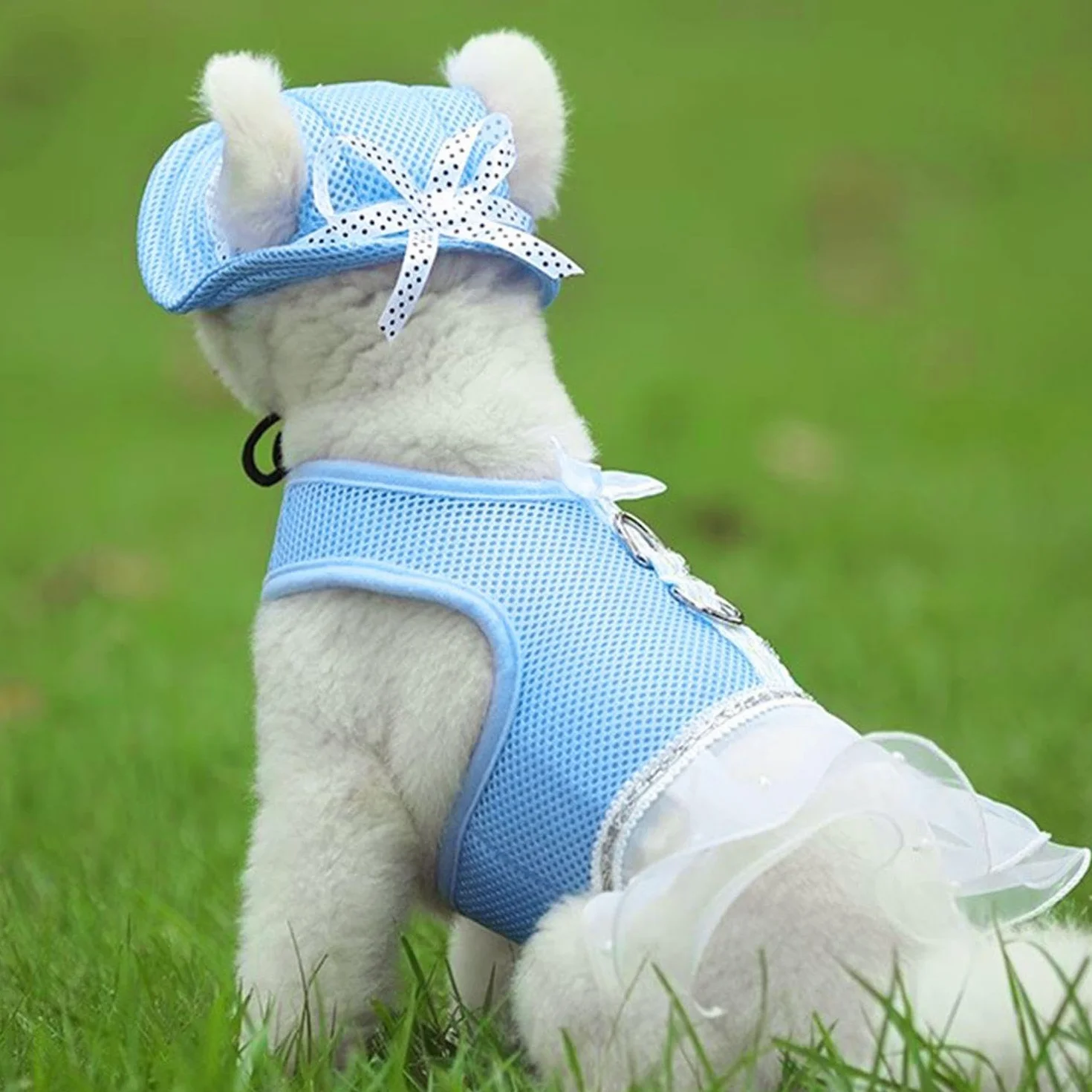 Chapeau De Soleil pour Chien Bleu, Parasol pour Chien, Jouet pour Animaux De Compagnie