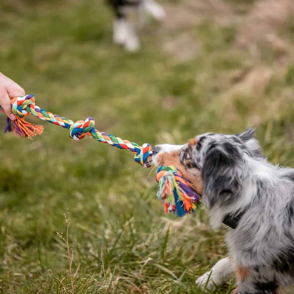 Nobby Os en Cotton pour Chien Multicolore 260 g