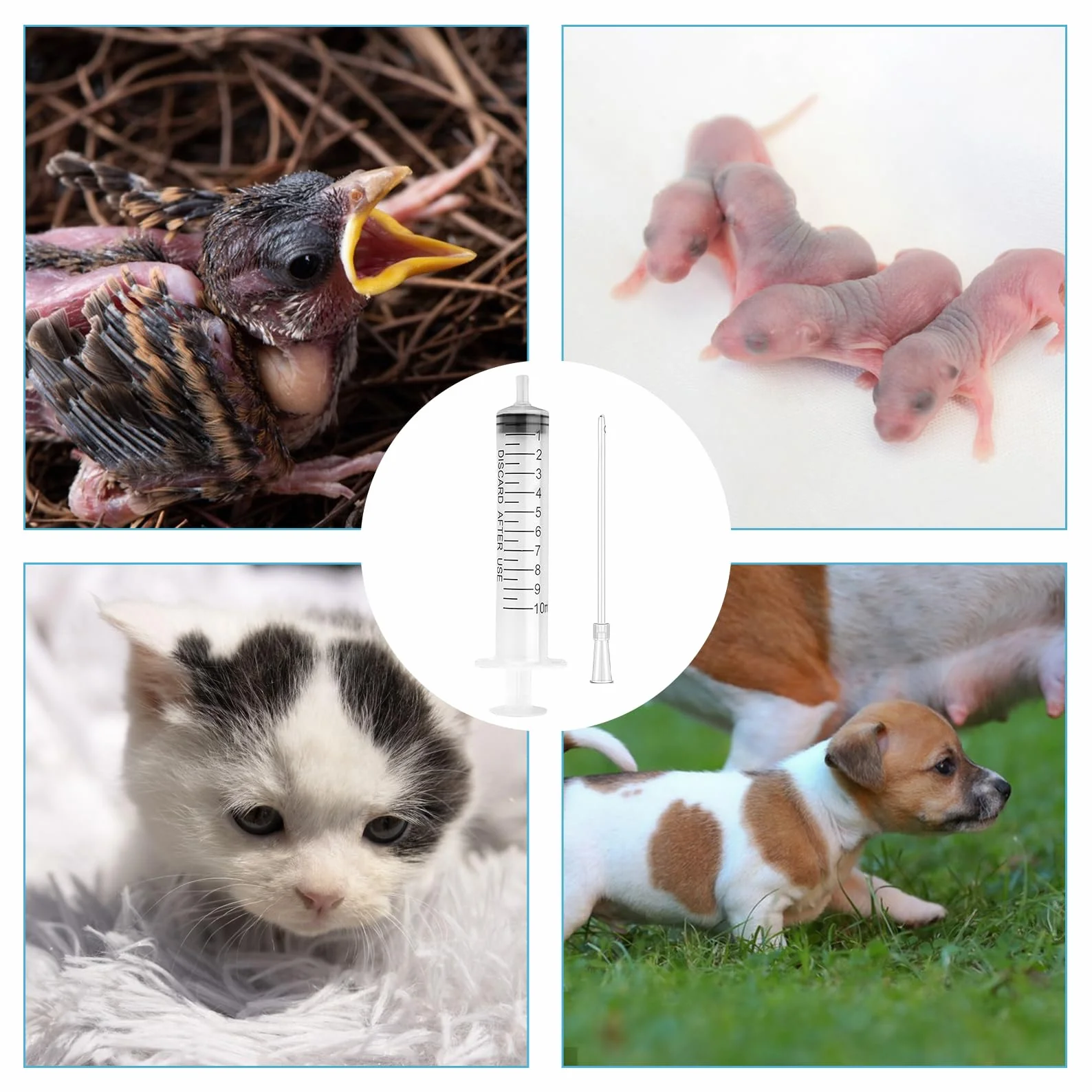 Seringue d'Alimentation 10ML pour Oisillons Oiseaux Plastique avec Aiguille Alimentaire Animaux Gavage