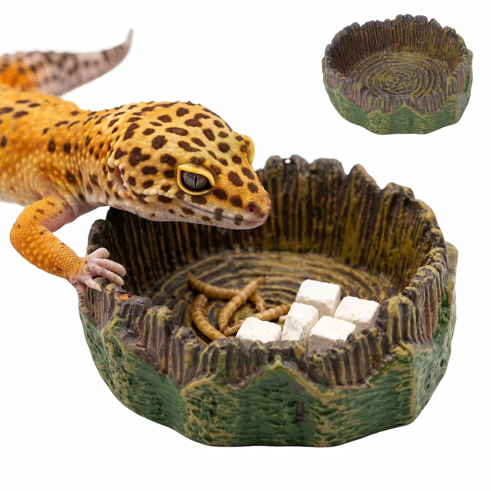 Bol à eau pour terrarium reptiles - Décoration réaliste souche arbre - 2 pièces pour gecko lézard
