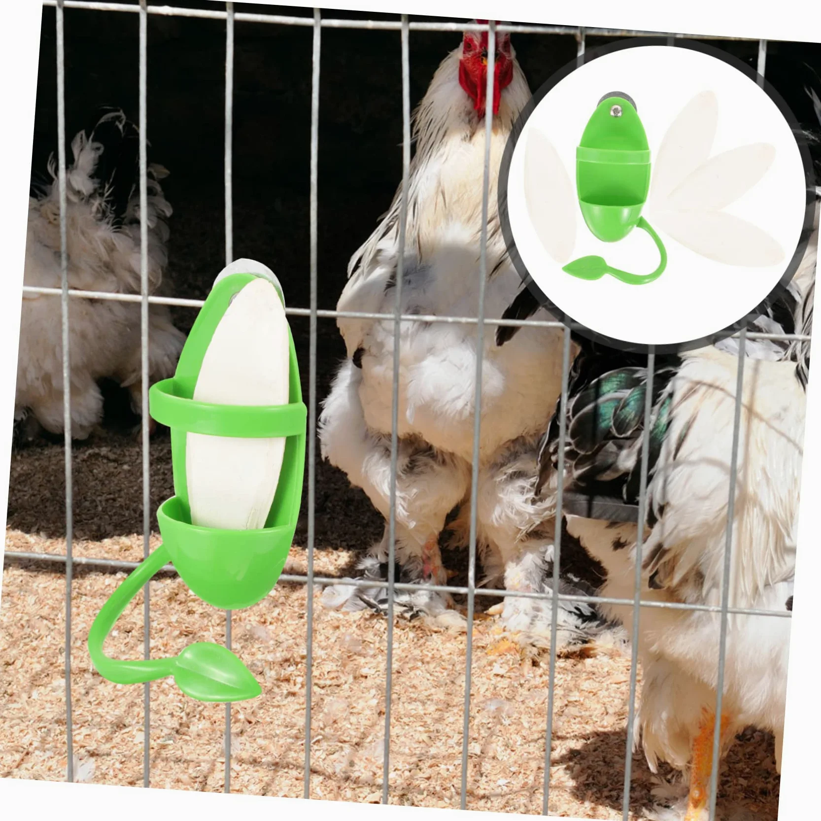 Mipcase 5ensembles Mangeoire Suspendue pour Oiseaux avec Support De Seiche Accessoire Pratique pour Perroquets Perruches Et Autres Oiseaux pour Fruits Et Légumes
