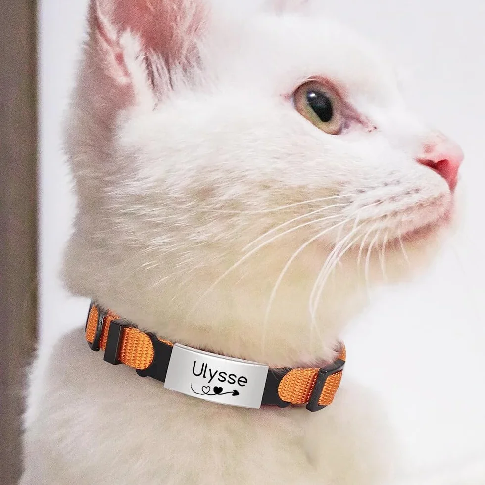 Colliers pour Chat Chaton avec Gravure personnalisée Prénom Téléphone 10 Couleurs