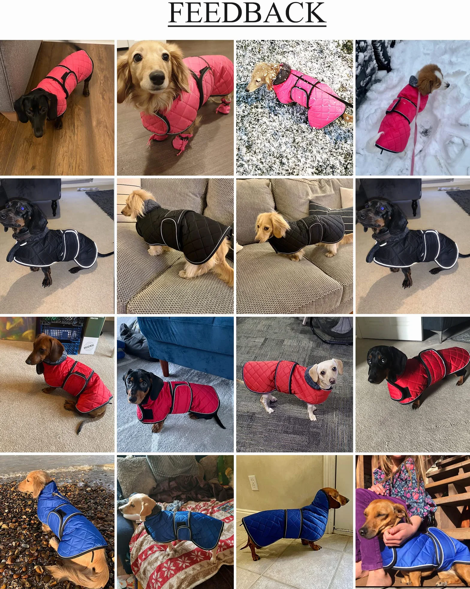Manteau imperméable pour Teckel, Manteau d'hiver pour Chien avec Doublure en Polaire, Bandes réglables - Rose XS