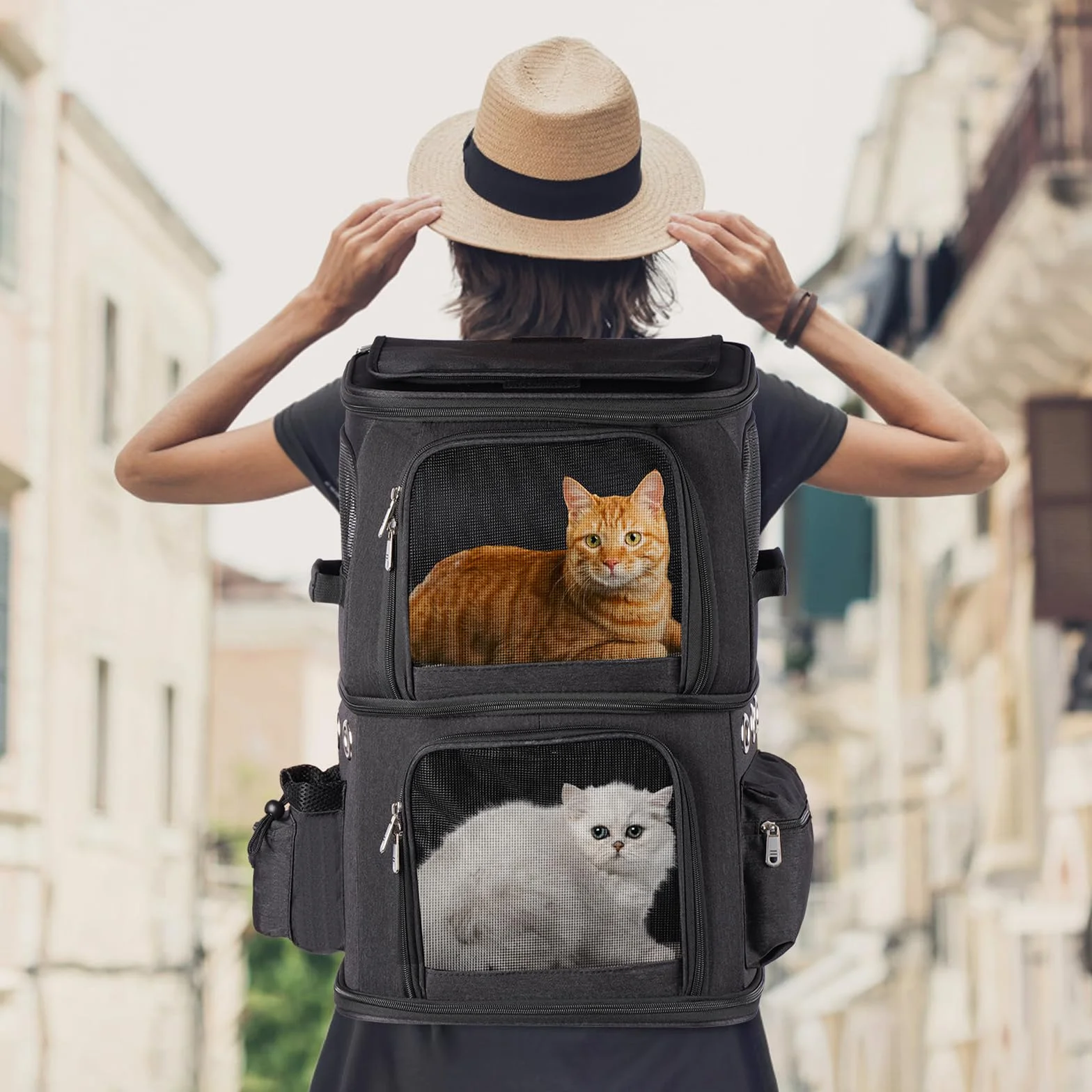 Sac à Dos pour 2 Chats 2-en-1 Double Compartiment Amovible Jusqu’à 12kg Pliable et Aéré Noir