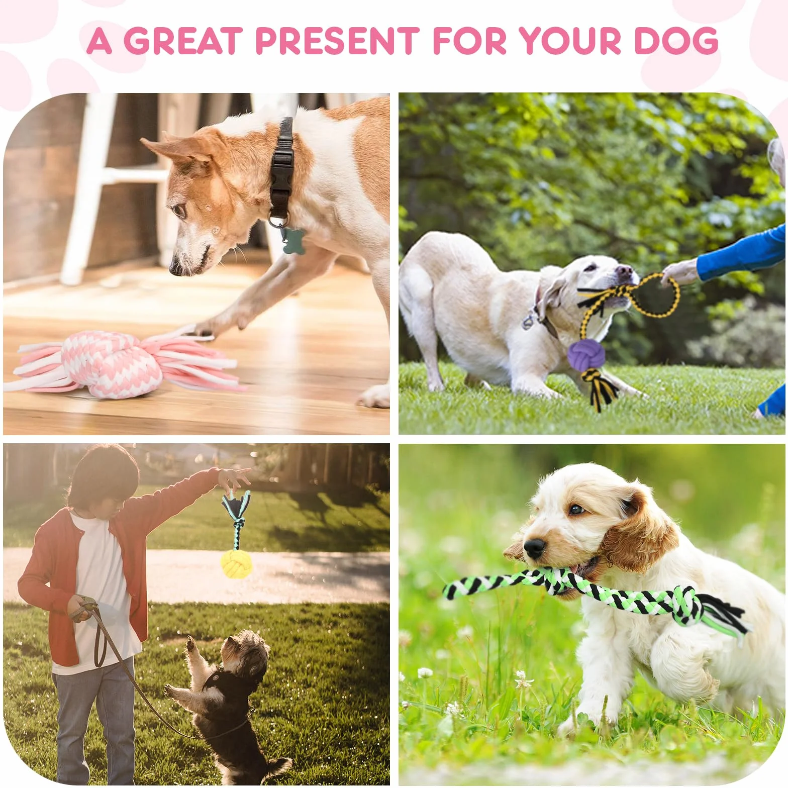 Ensemble de 20 Jouets pour Chien - Corde à Mâcher, Balle Interactive - Pour Grands, Moyens et Petits Chiens