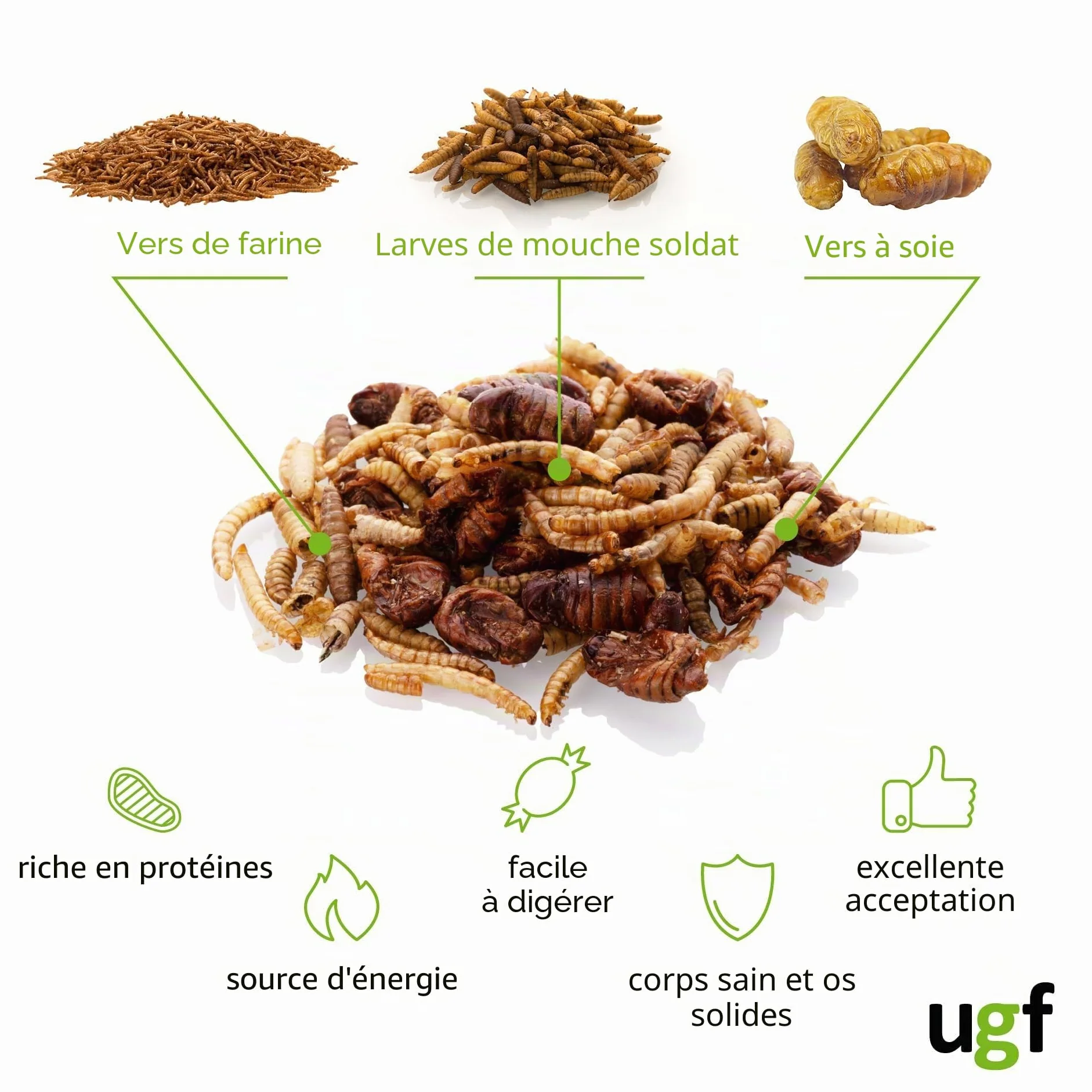 UGF Mélange pour Insectes 80g Seau 500ML Nourriture pour hérissons gerbilles Hamsters Rats lézards
