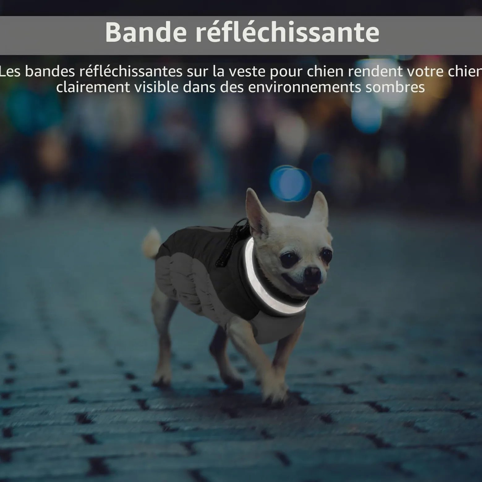 CITÉTOILE Manteau Chien, Manteau Chien Fourré Polaire avec Harnais, Manteau d'hiver pour Chiens Imperméable et Coupe-Vent, Réfléchissant Vetement Chien pour l'hiver pour Teckel, Bouledogue,Chihuahua