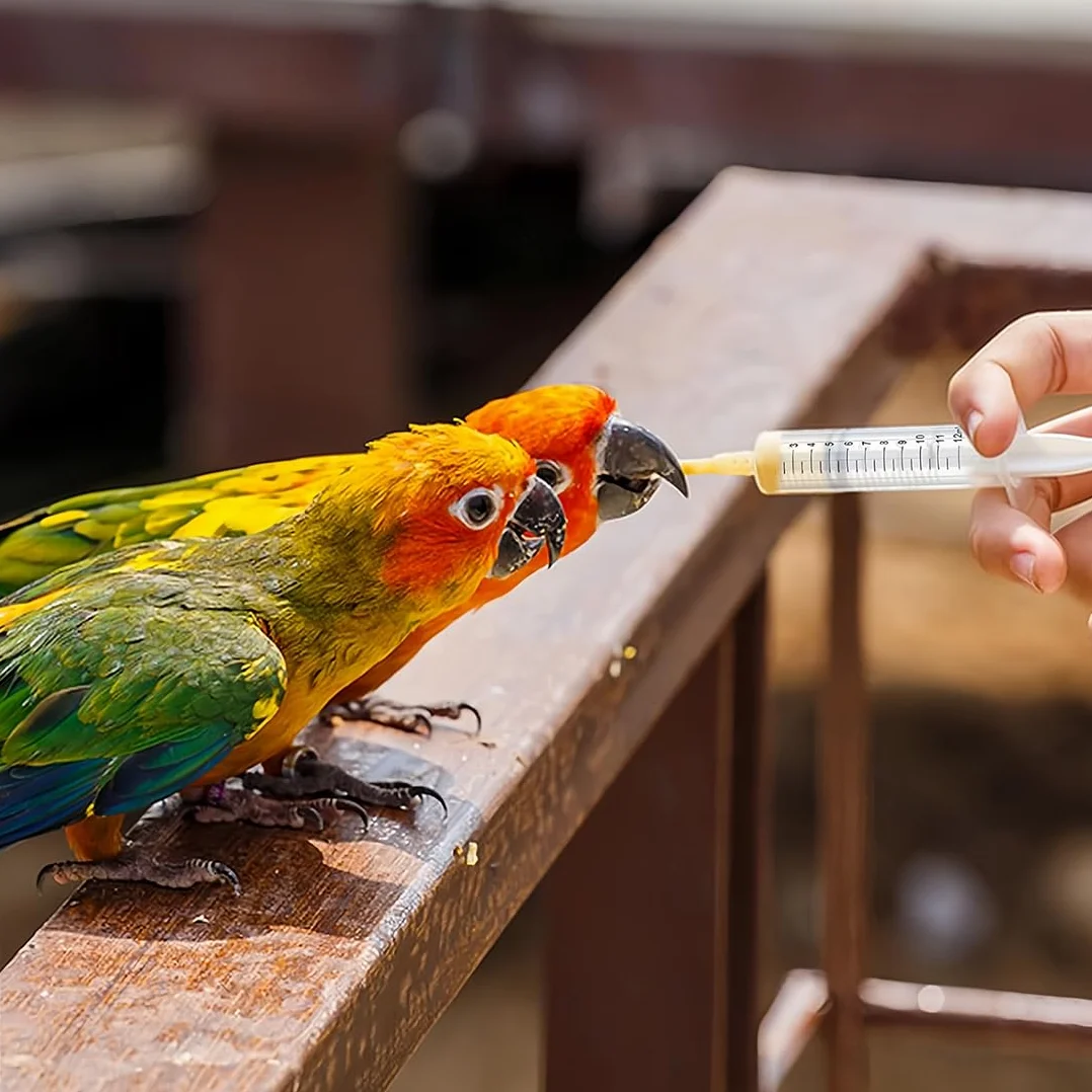 JEYORZY Sondes d'alimentation pour Oisillons, Seringue 10 ML, Bébé Oiseau, Tortue, Colombe Médicaments Liquides