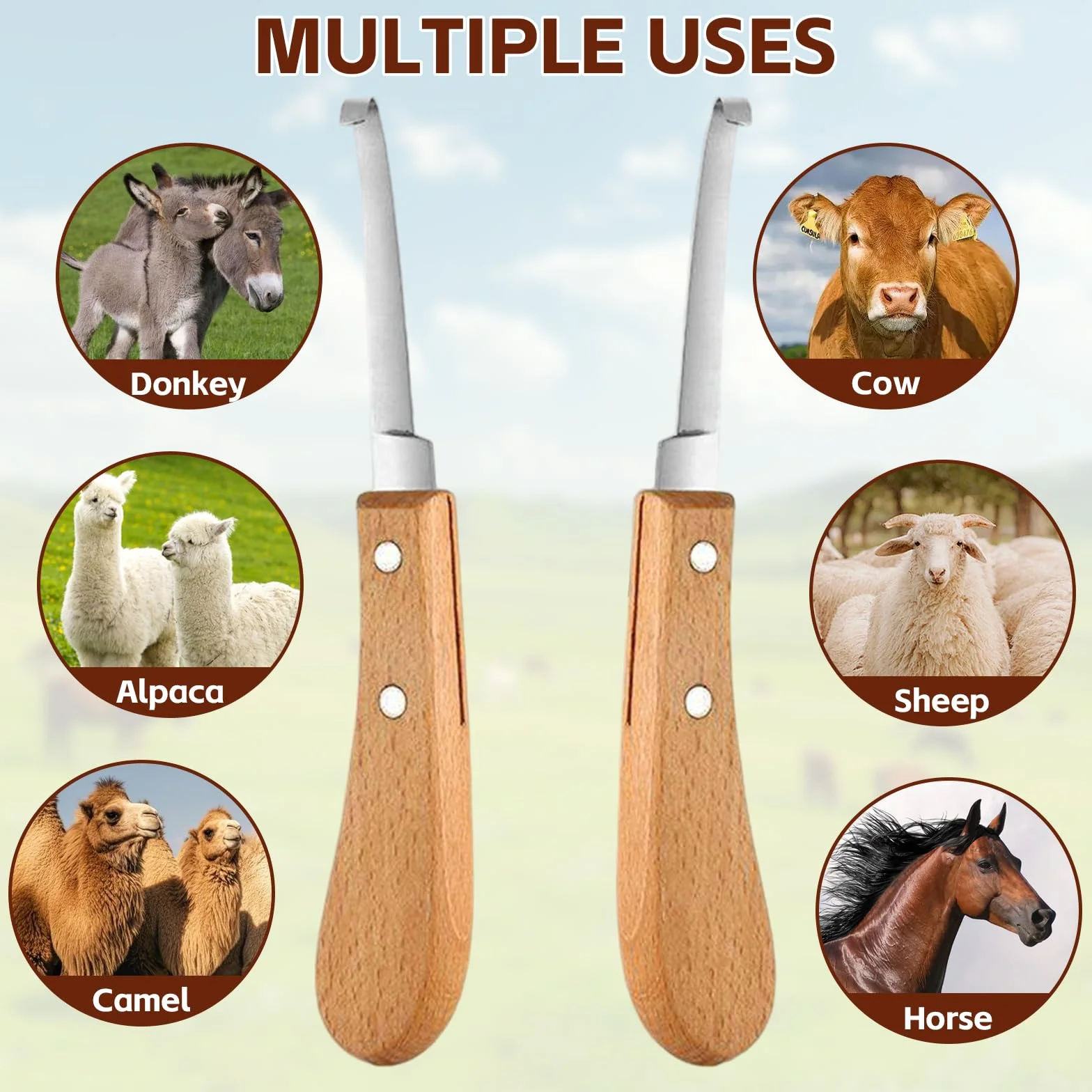 Couteau à Sabot 21.5 cm Acier Inoxydable Soins des Sabots Gaucher Droitier Outil Parage Manche en Bois Chevaux Bovins Ovins