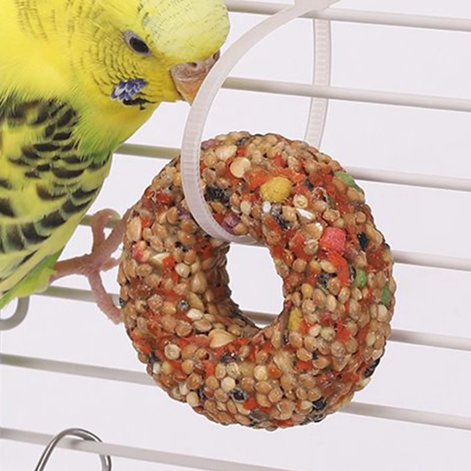 Sticks de gâterie végétariens pour perroquets - Jouets et nourriture pour perruches