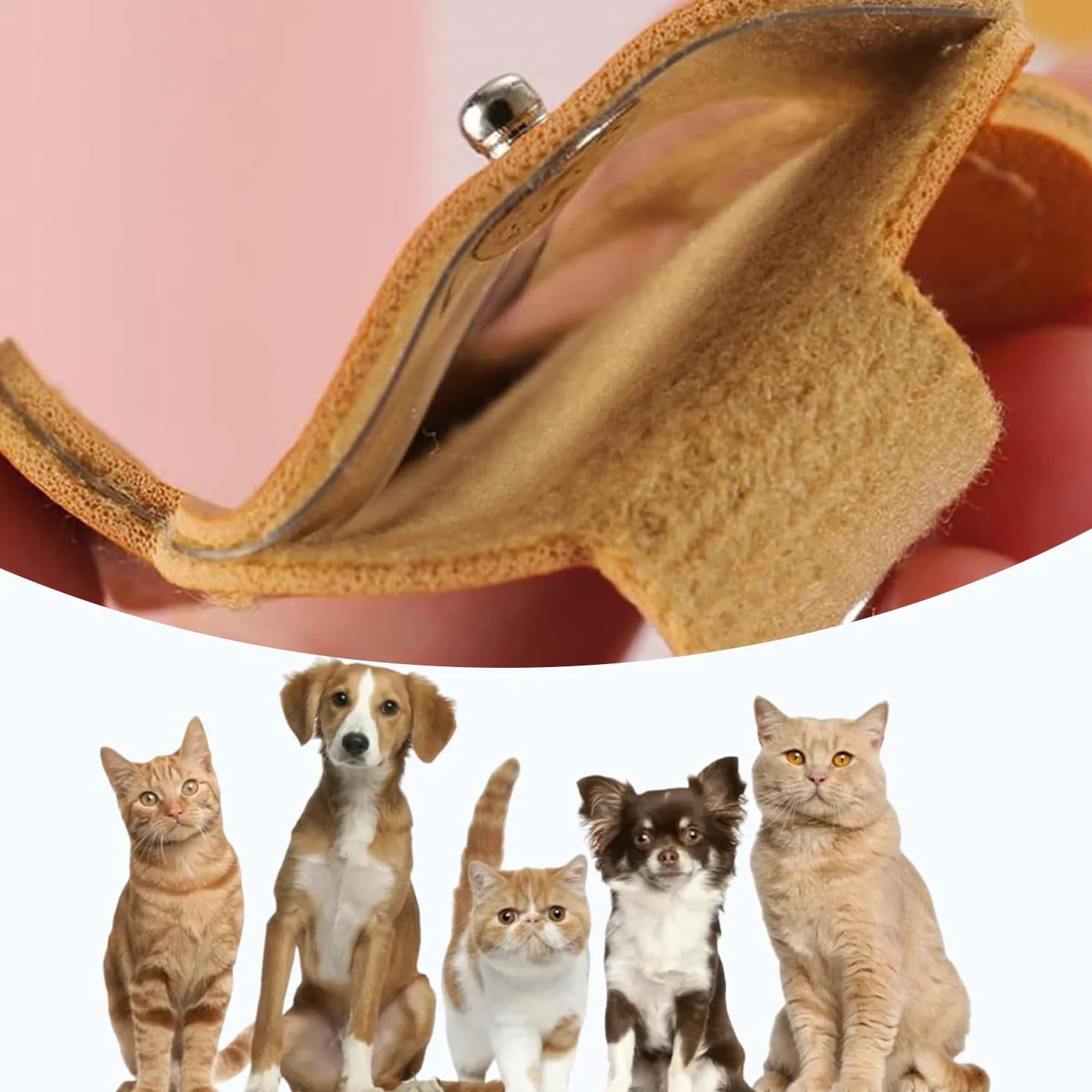 Boîte à Souvenirs Personnalisée pour Poils d'animaux, Rangement pour Poils d'animaux, Porte-Clés en Fourrure pour Animaux De Compagnie (Noir, Blanc, Jaune, Brun Chocolat)