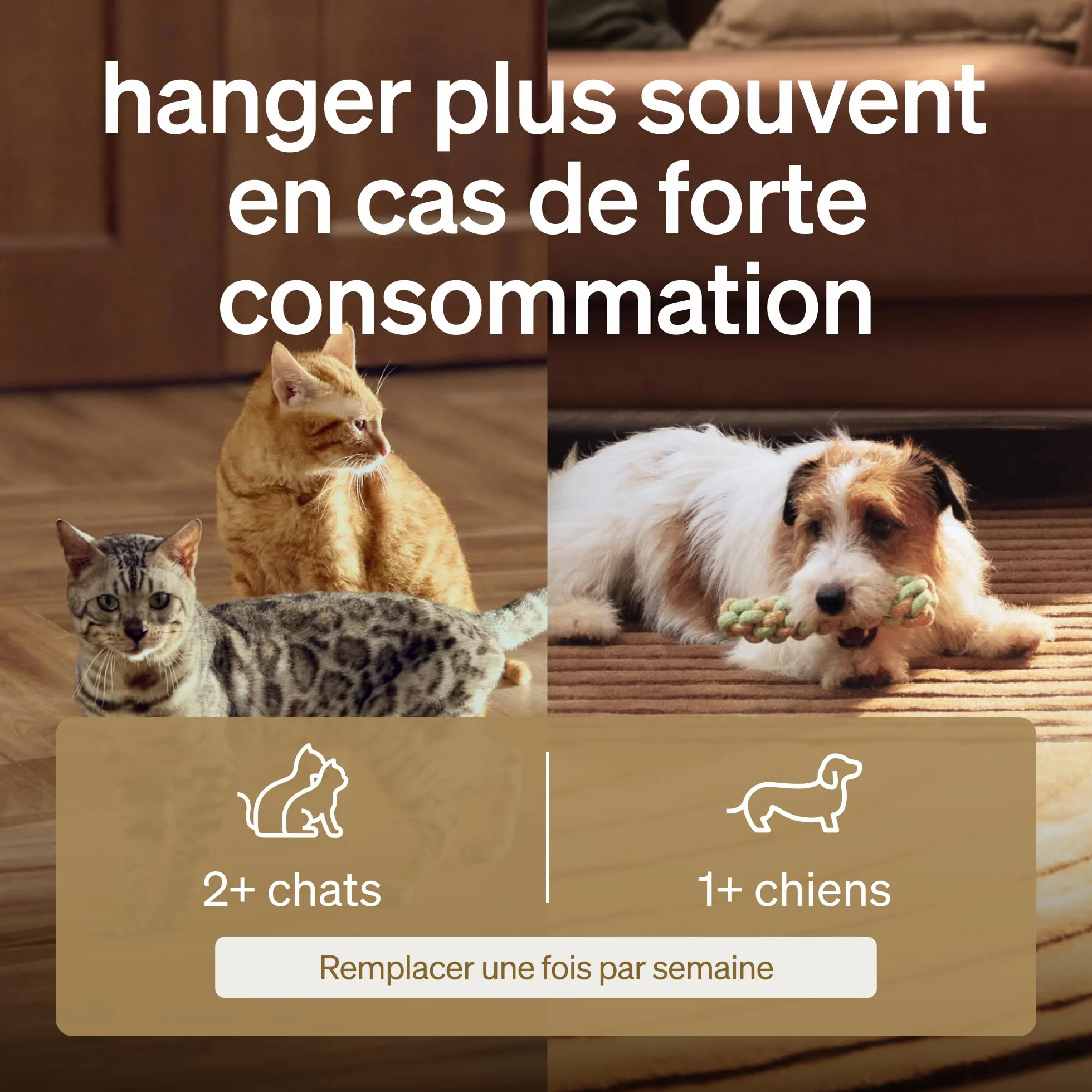 PETLIBRO Lot de 8 Filtres pour Fontaine à Eau pour Chat PLWF005 PLWF115 PLWF105 Kit 4 Mois