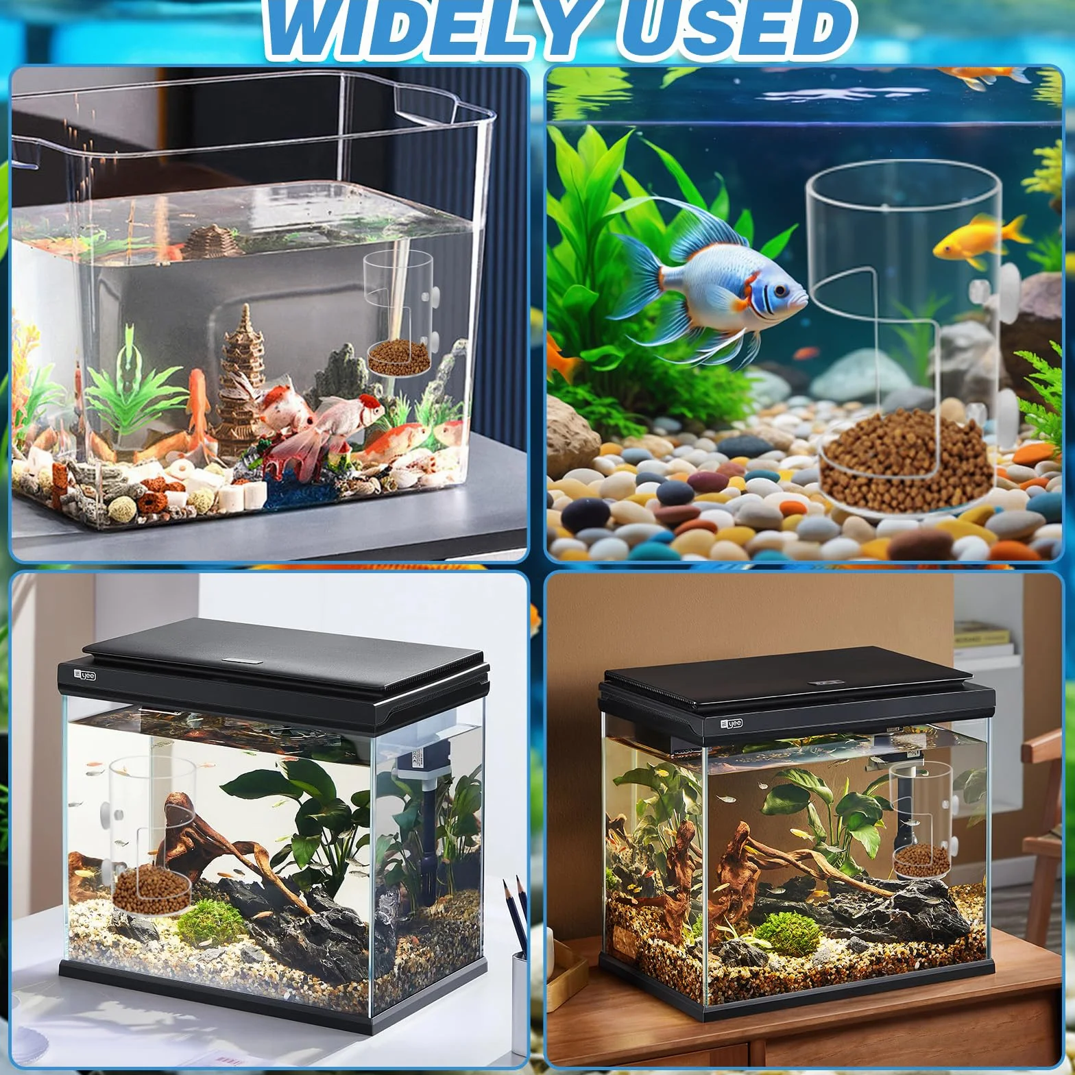 Lot de 2 mangeoires Rondes pour Poissons d'aquarium avec Ventouse, Tube d'alimentation, séparateur de réservoir, boîte d'élevage, Bols à Poissons, Accessoires pour Tortues et crevettes