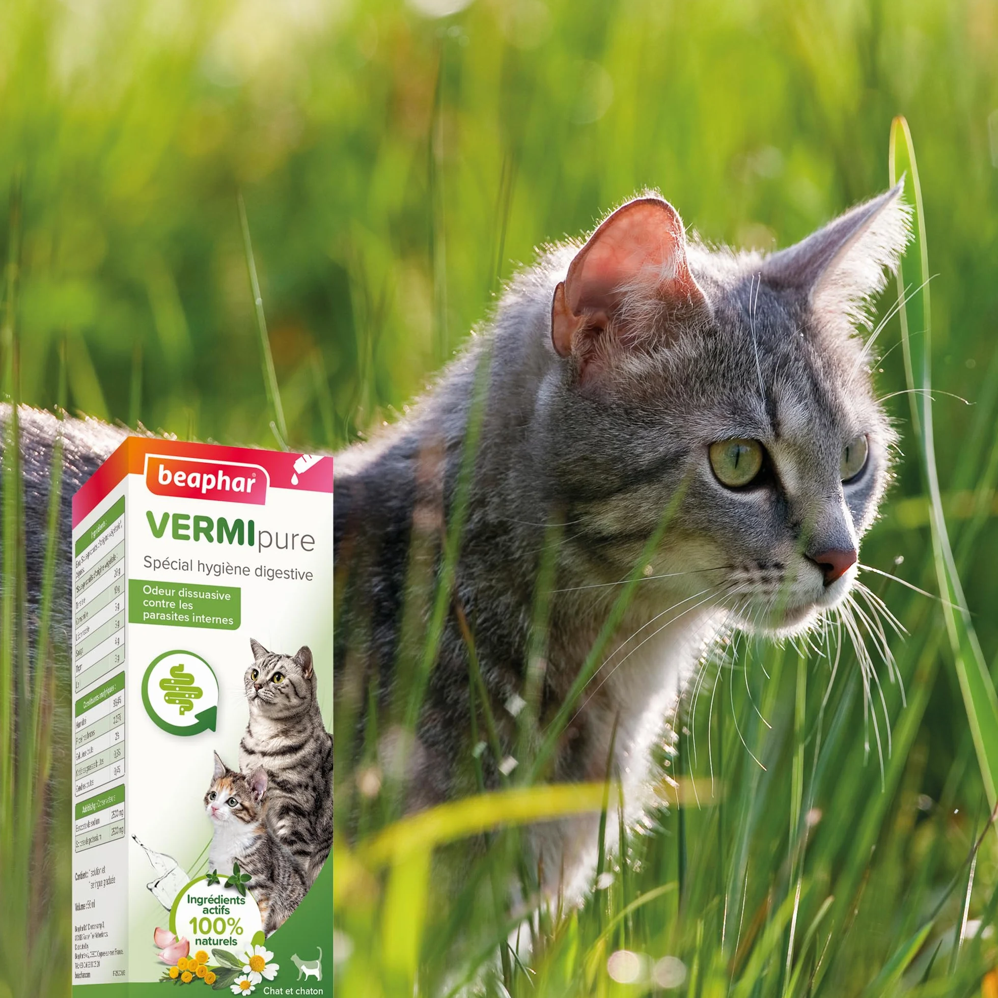 BEAPHAR VERMIPURE Solution liquide pour Chat 50 ml Ingrédients naturels Hygiène digestive
