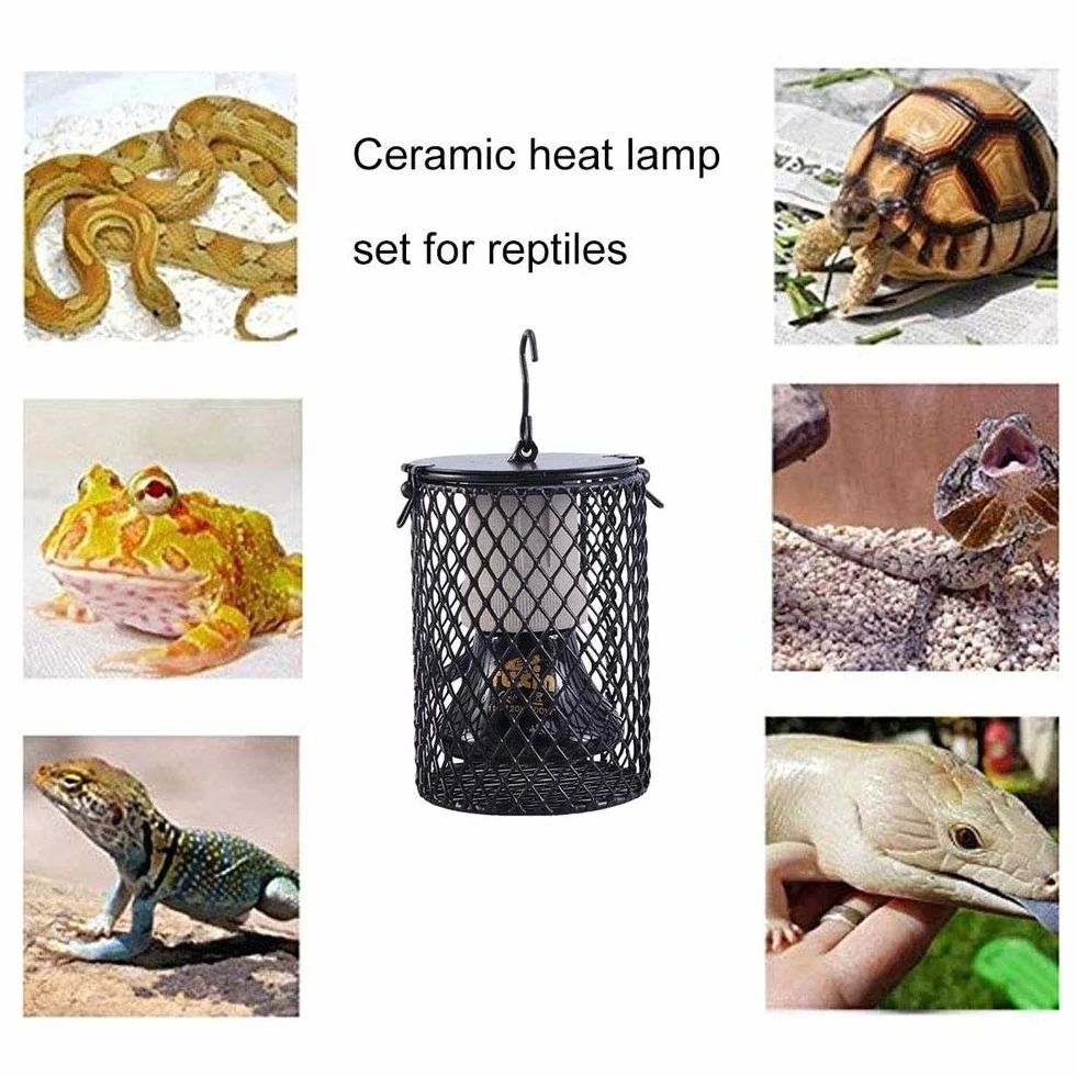POFET Reptiles Lampe chauffante en céramique 75W avec Garde pour Tortue Lézard Serpent Dragon Barbu