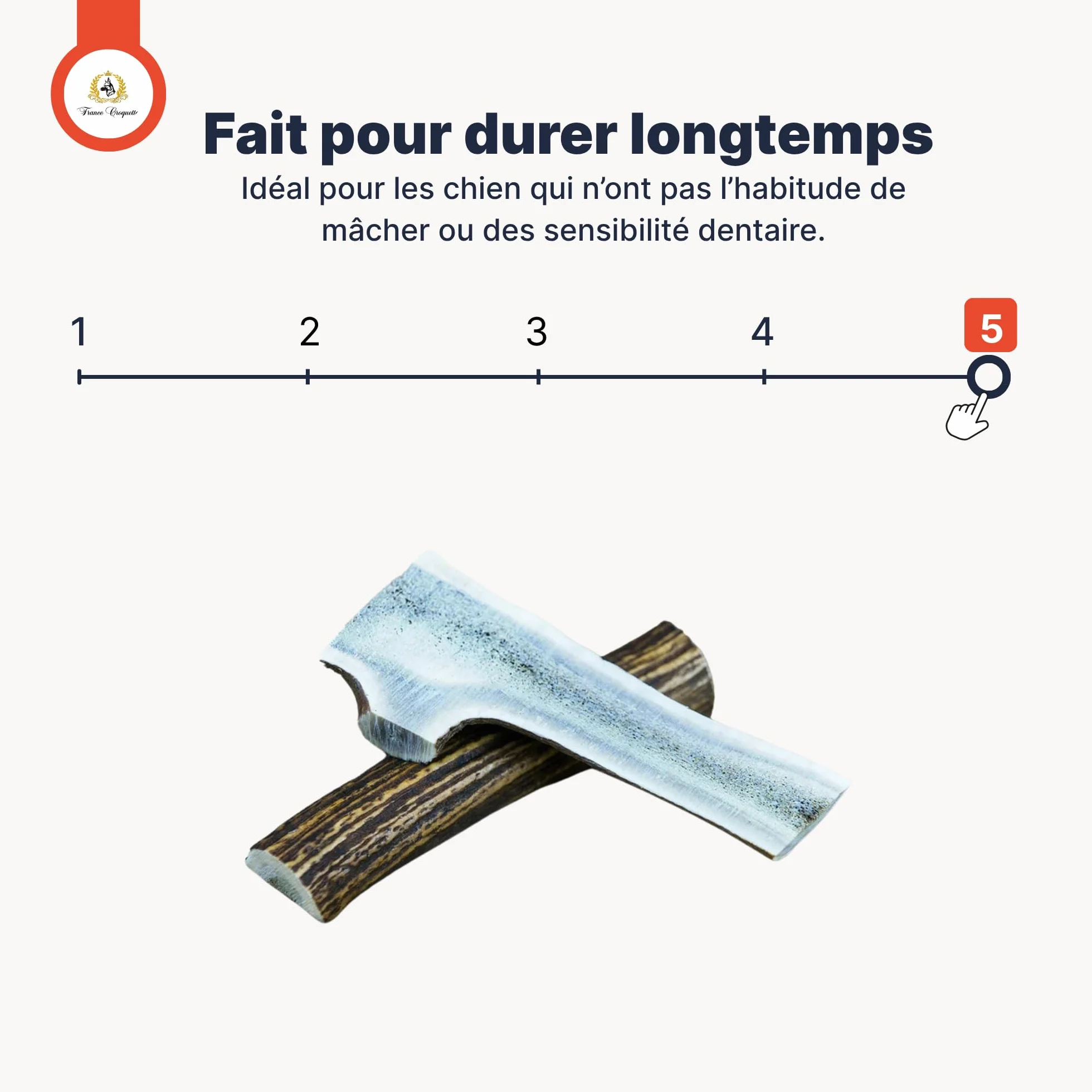 Bois de Cerf S Fendu 25-30g pour Chien Moins de 10 kg, Friandise Naturelle à Mâcher