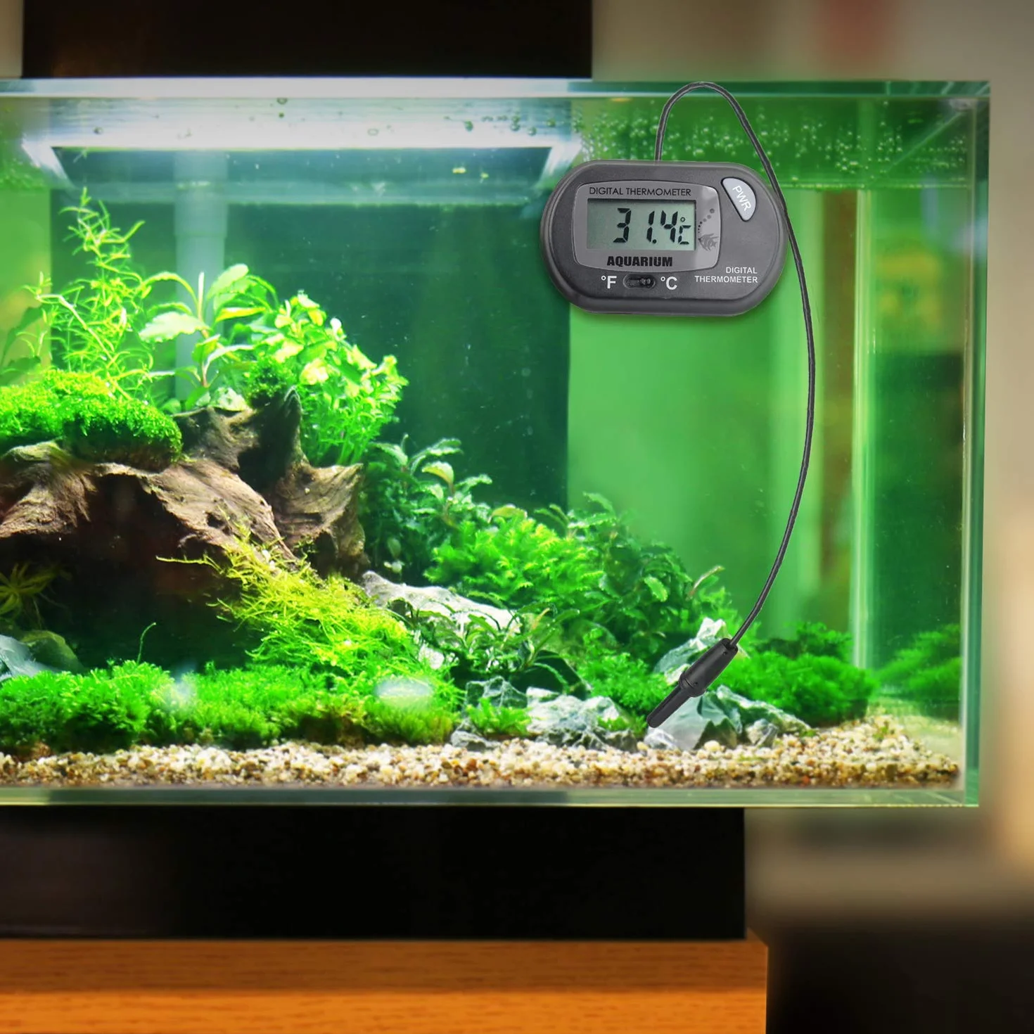 DIGIFLEX Thermomètre numérique pour aquarium électronique accessoires