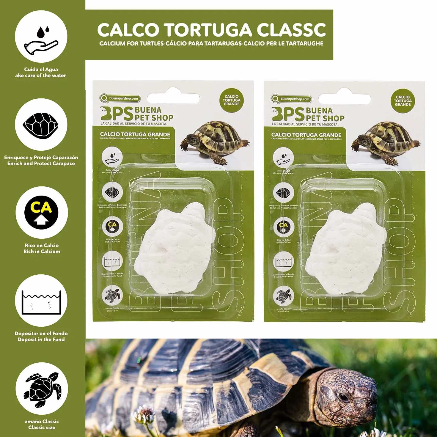 BPS 12 pièces Bloc de Calcium pour Tortues Complément Naturel