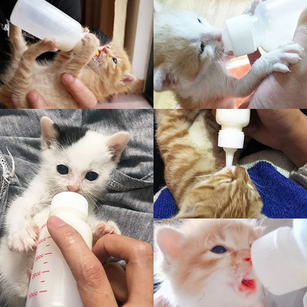 Kit Biberon pour Animaux 2 Pièces, Biberons d'allaitement pour Chaton et Chiot avec Brosse