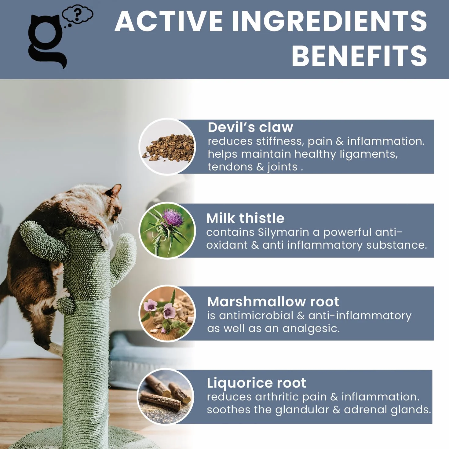 Joint Guru Mobility Supplément pour chat 100 ml soutien articulations tendons hanches anti-inflammatoire
