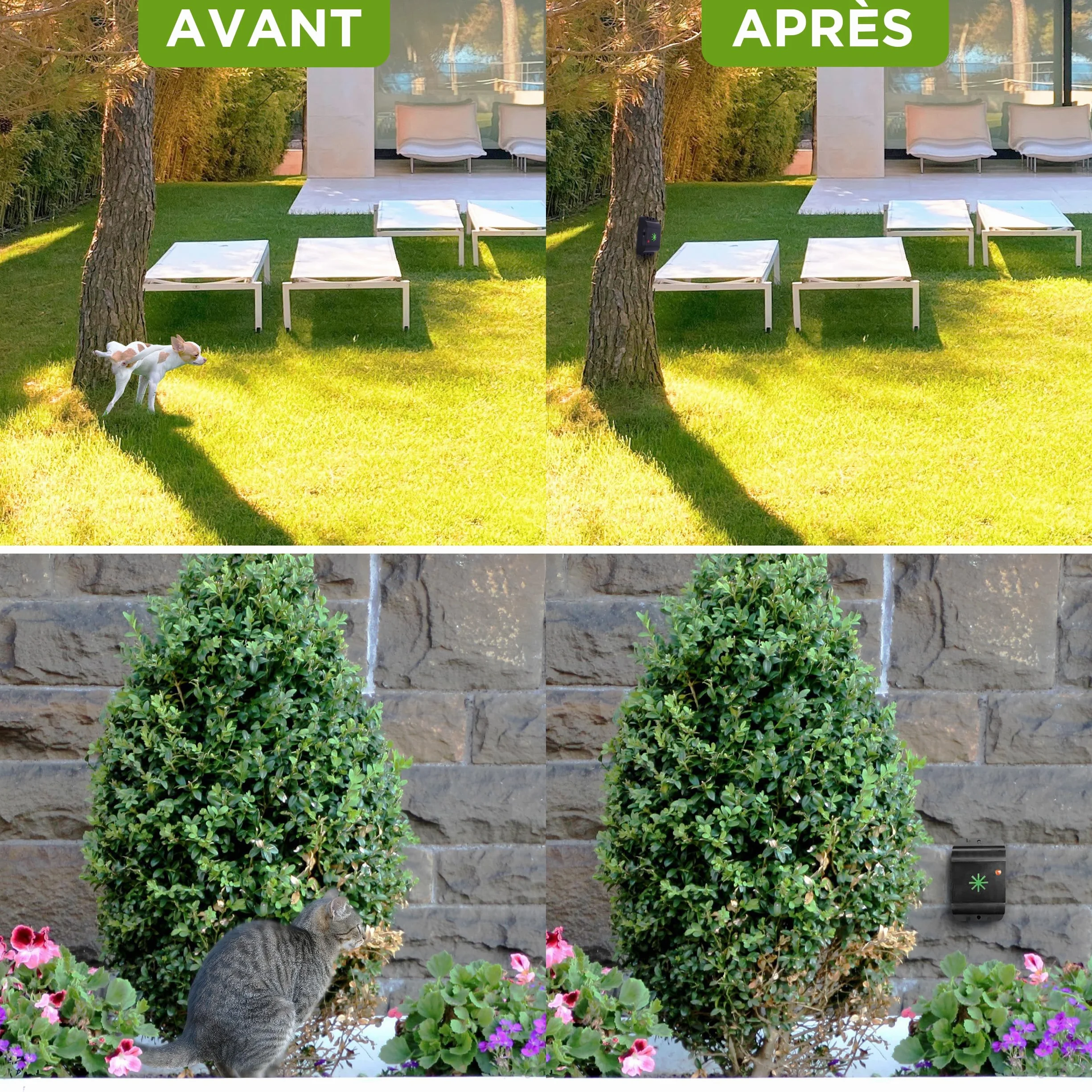 ISOTRONIC® Répulsif Ultrason pour Chiens et Chats, 3 pièces, sans Danger